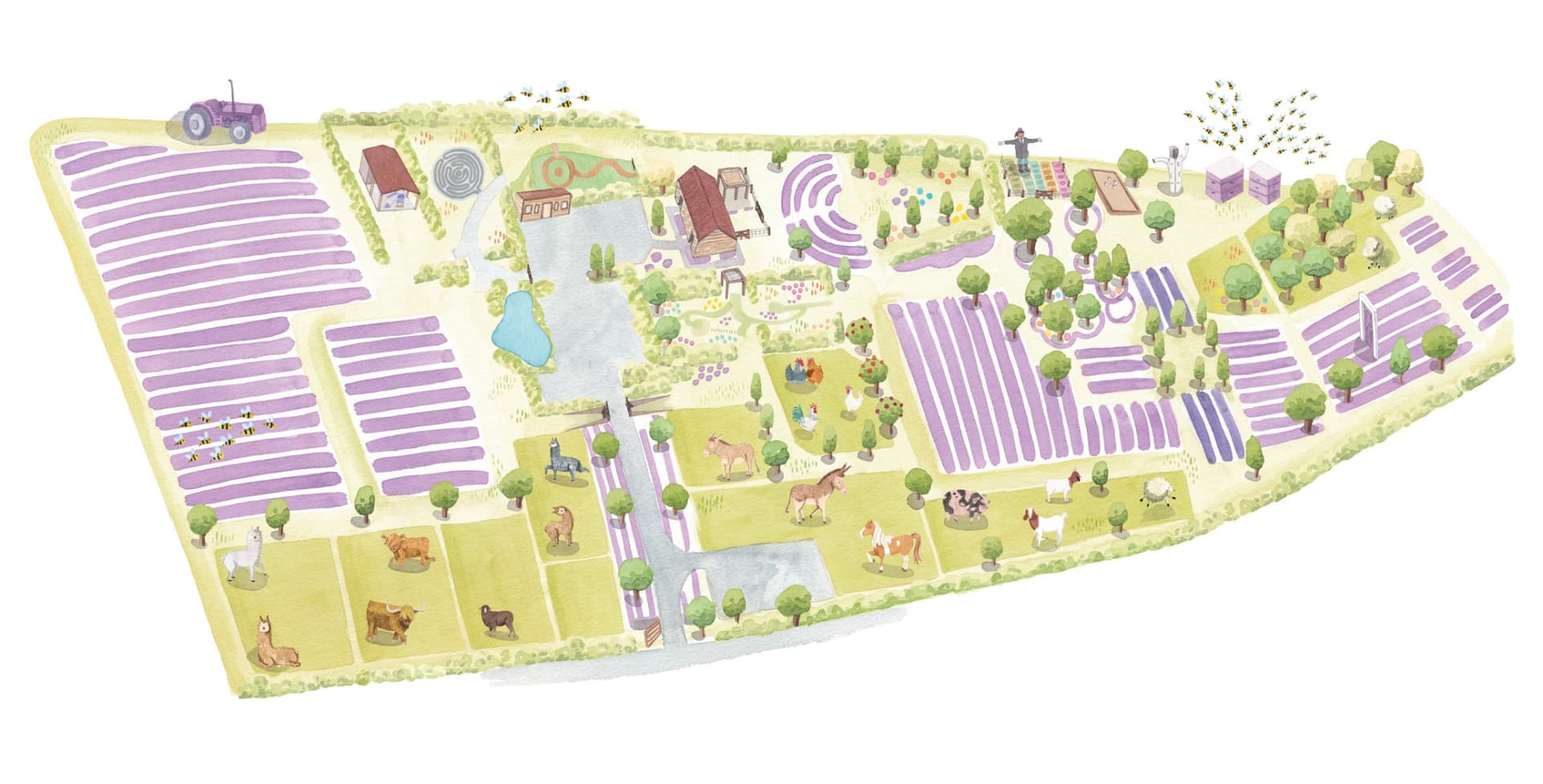 Wanaka Lavender Farm Ticket - تصویر 10