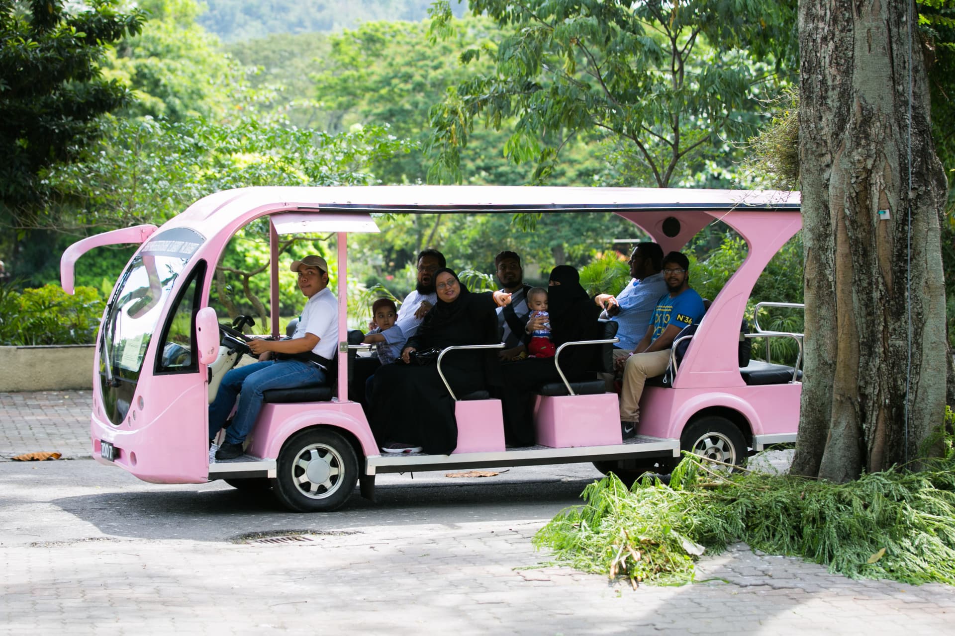 Zoo Negara Malaysia & Panda Conservation Centre Ticket - تصویر 17