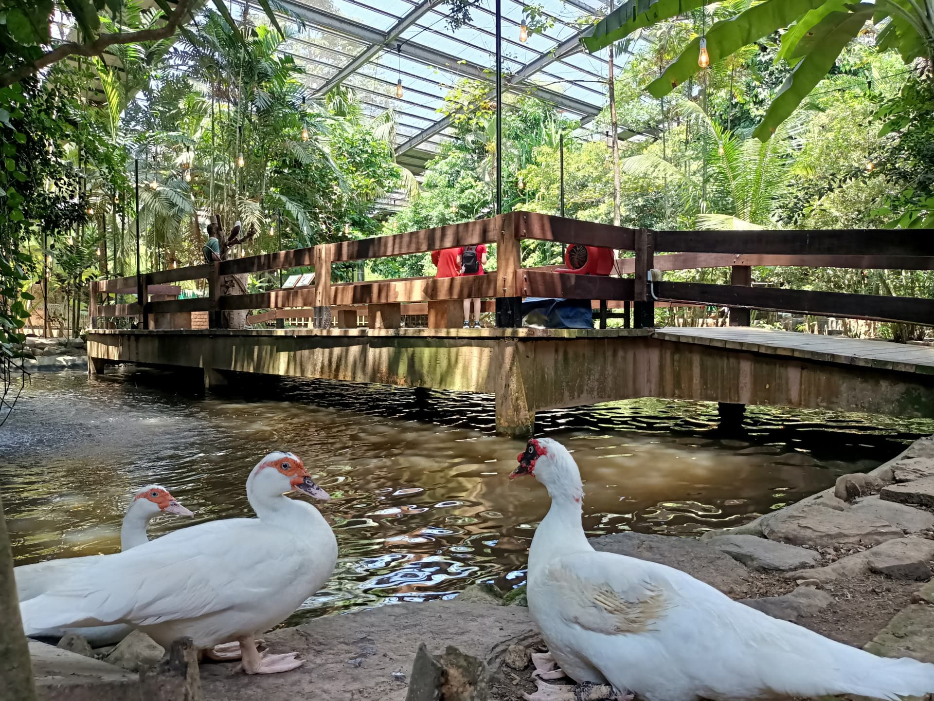Langkawi Wildlife Park - تصویر 14
