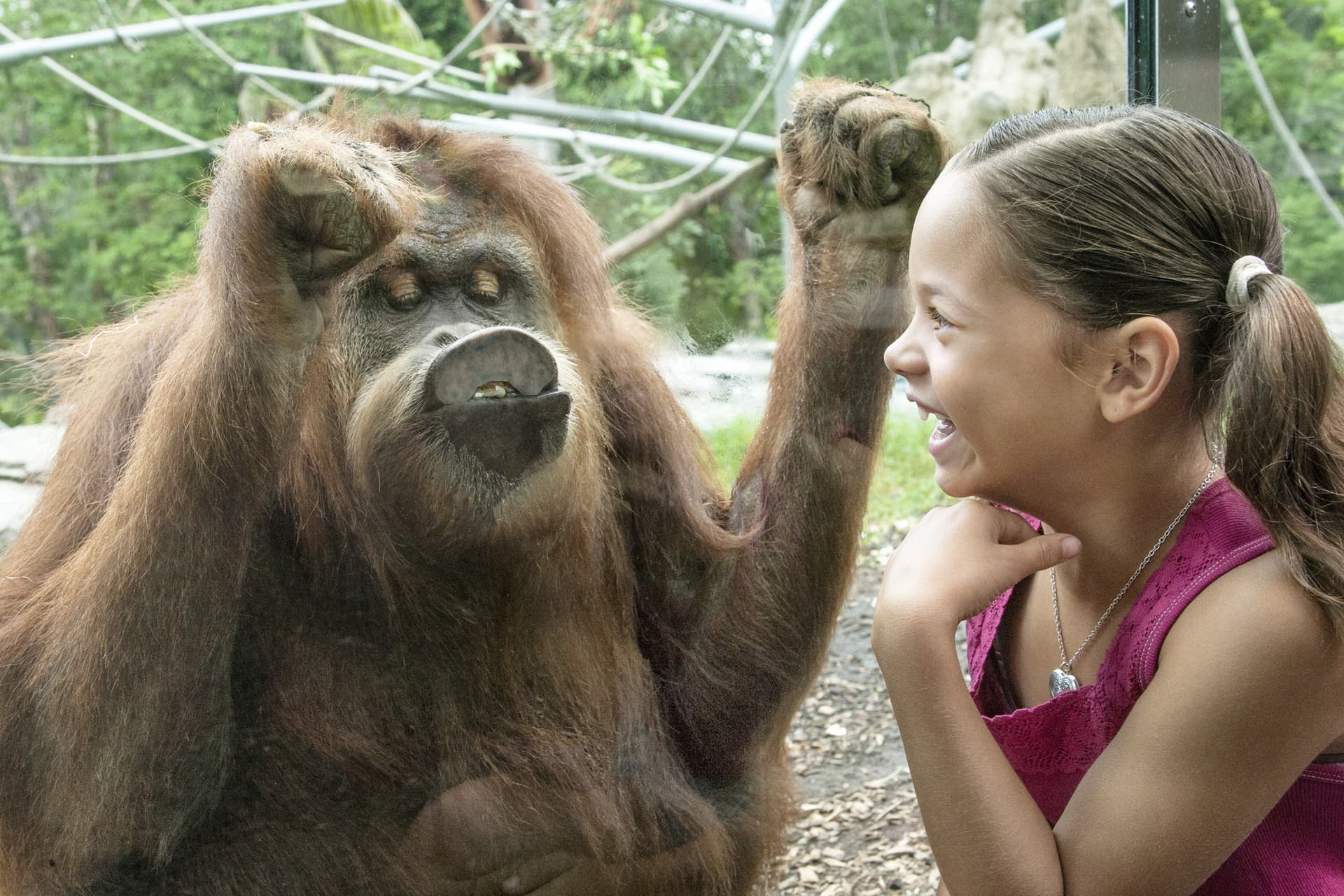 Go City San Diego Explorer Pass: Save up to 50% on Attractions - تصویر 47