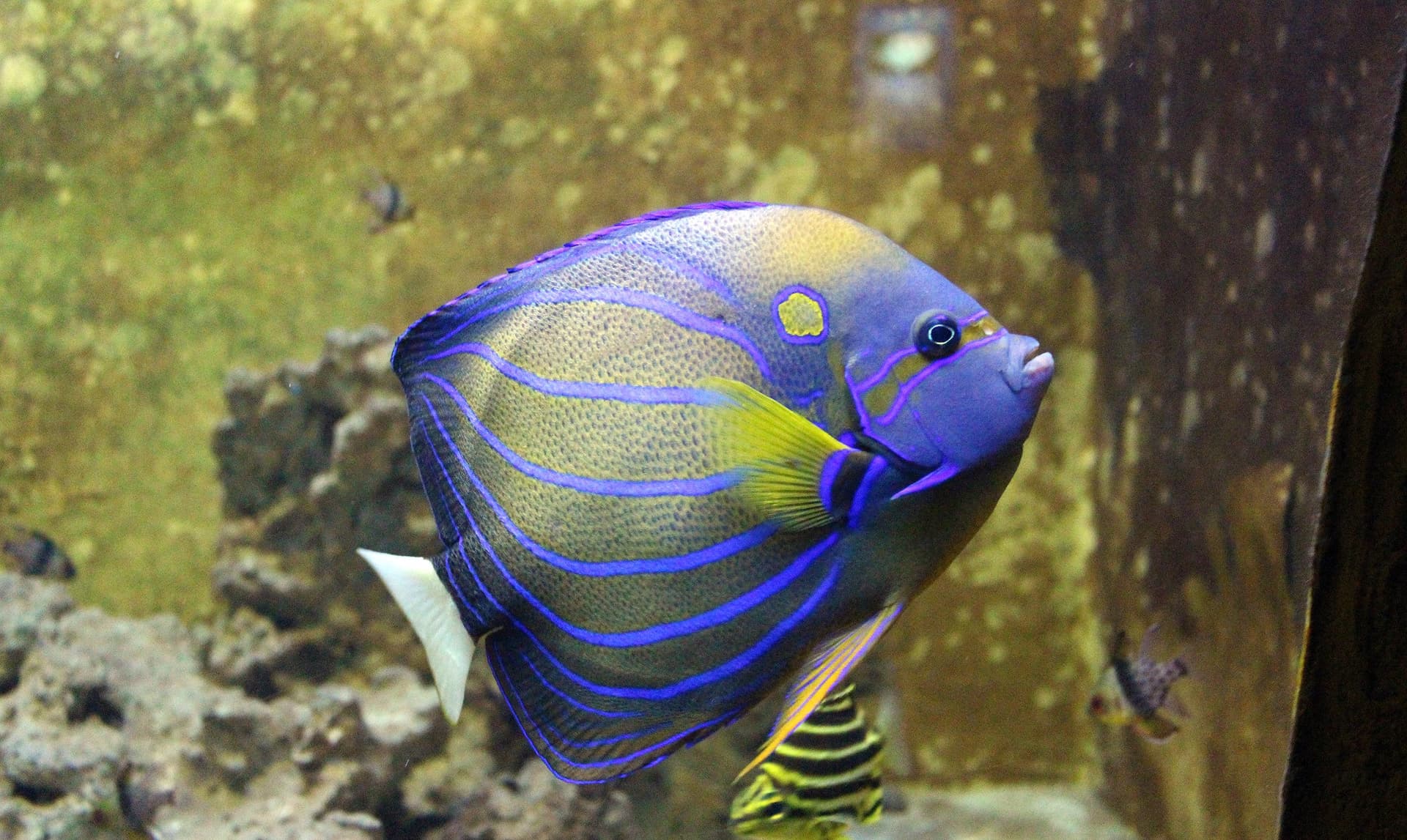 Yehliu Ocean World - تصویر 11