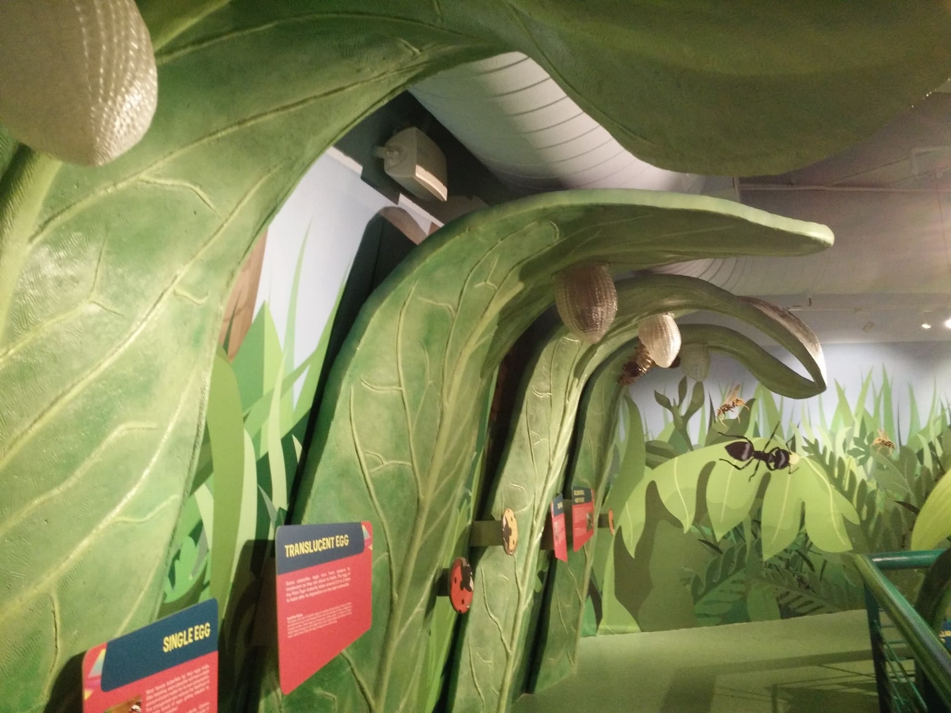 Science Centre Singapore, Omni Theatre, and KidsSTOP Singapore Ticket - تصویر 7