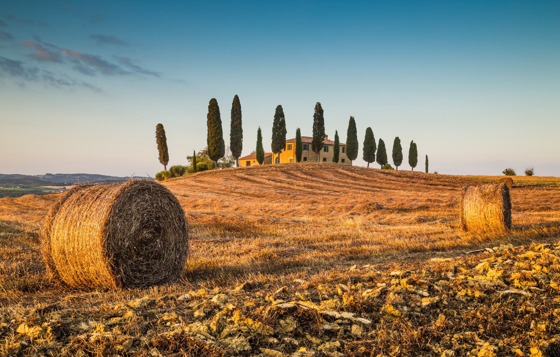 Medieval Tuscany Tour from Florence: Monteriggioni, Montalcino, Pienza - تصویر 2