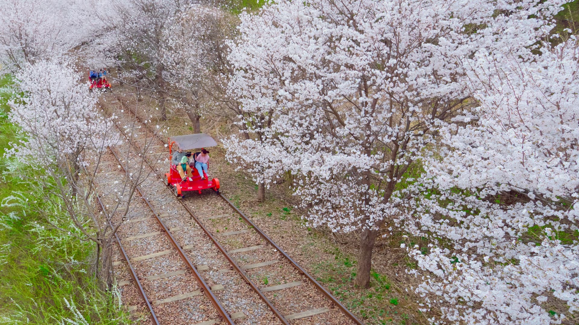 Nami Island, Mount Seorak, and Garden of Morning Calm Full-Day Tour from Seoul - تصویر 24