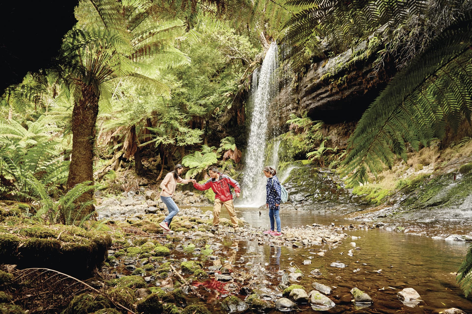 Russell Falls Tour from Hobart - تصویر اصلی