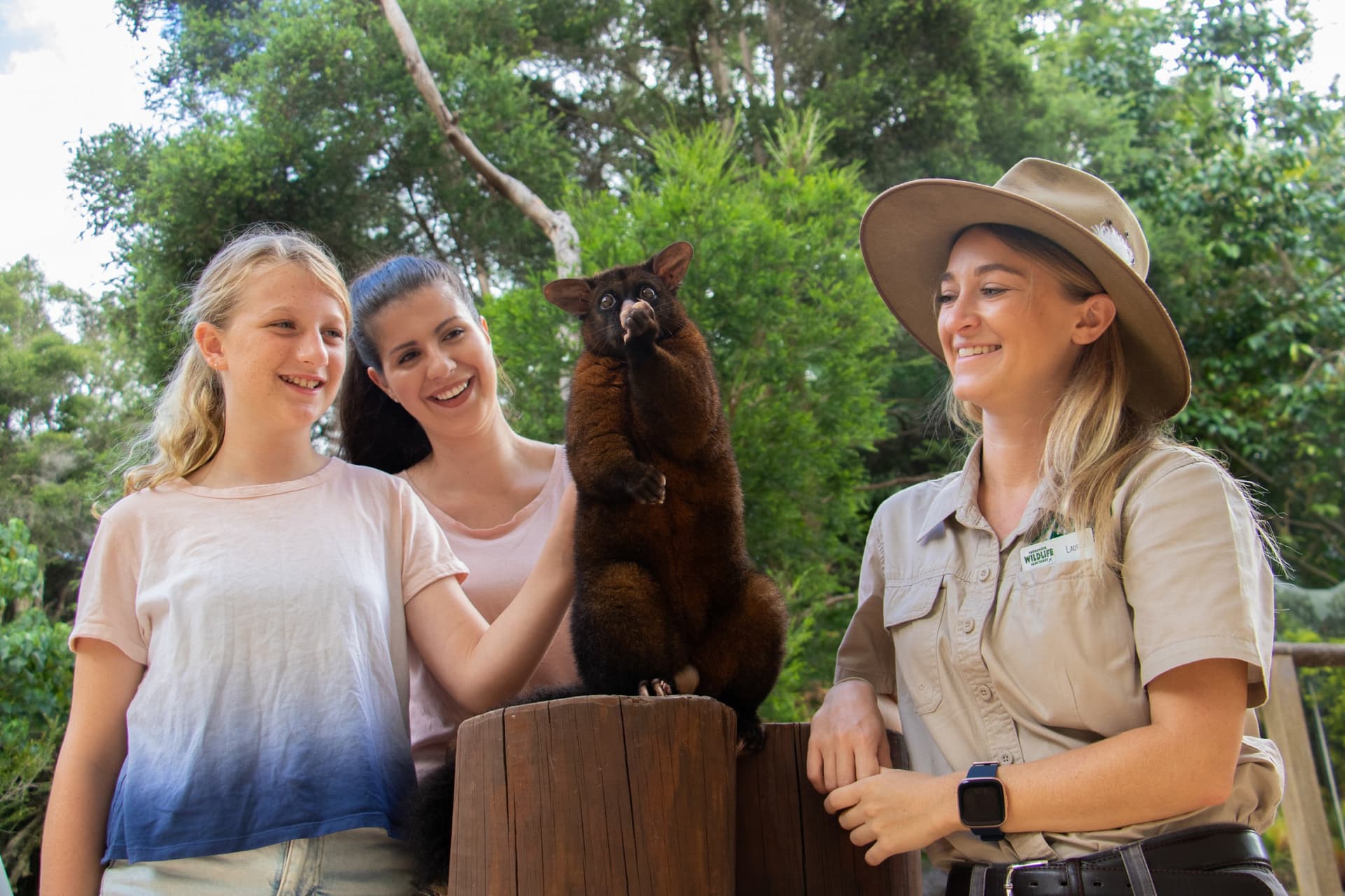 Currumbin Wildlife Sanctuary Gold Coast Ticket - تصویر 13