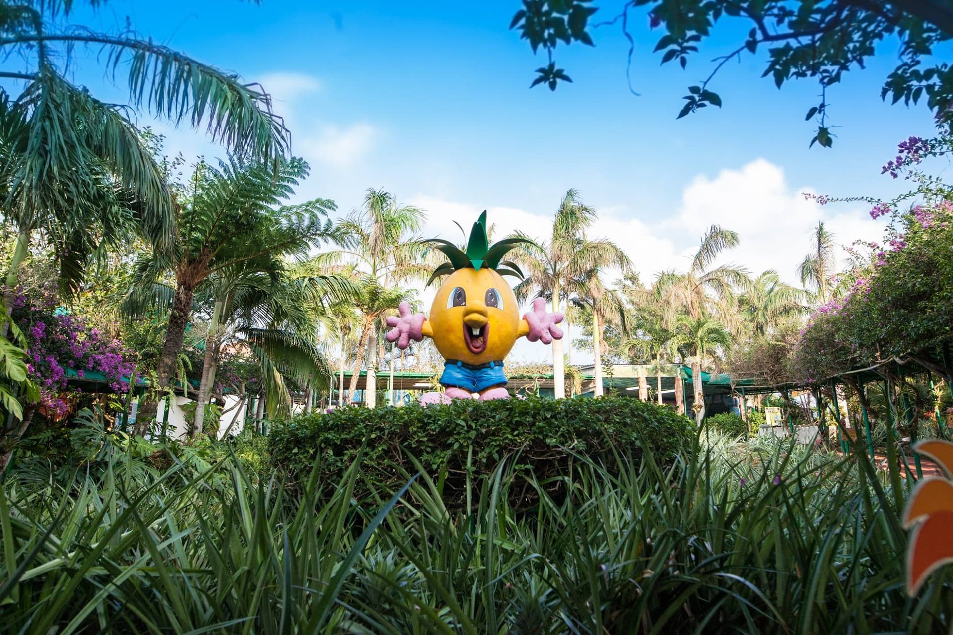 Okinawa Nago Pineapple Park - تصویر 5