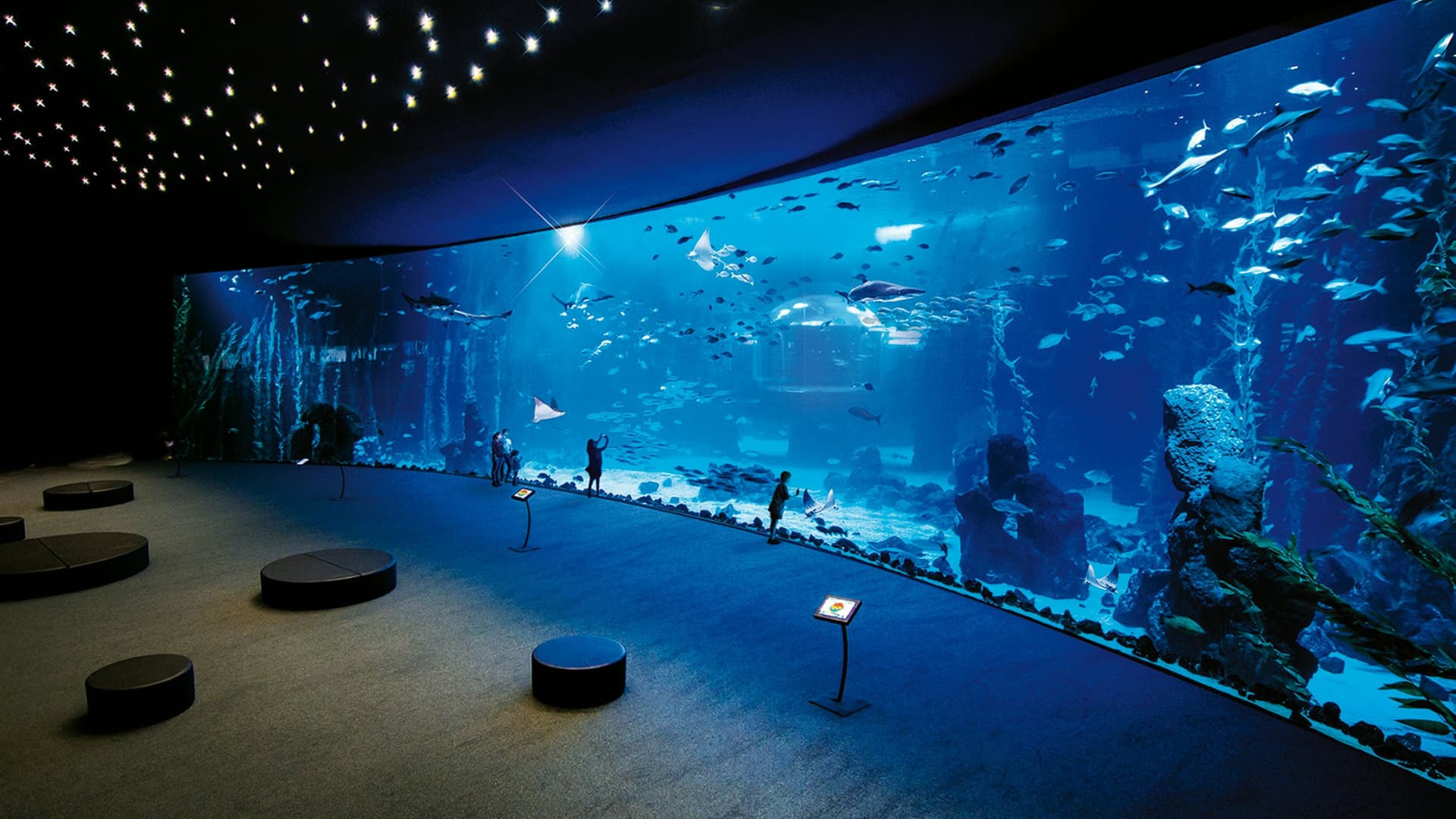 Poema del Mar - Aquarium Gran Canaria: Skip The Line Ticket - تصویر 7