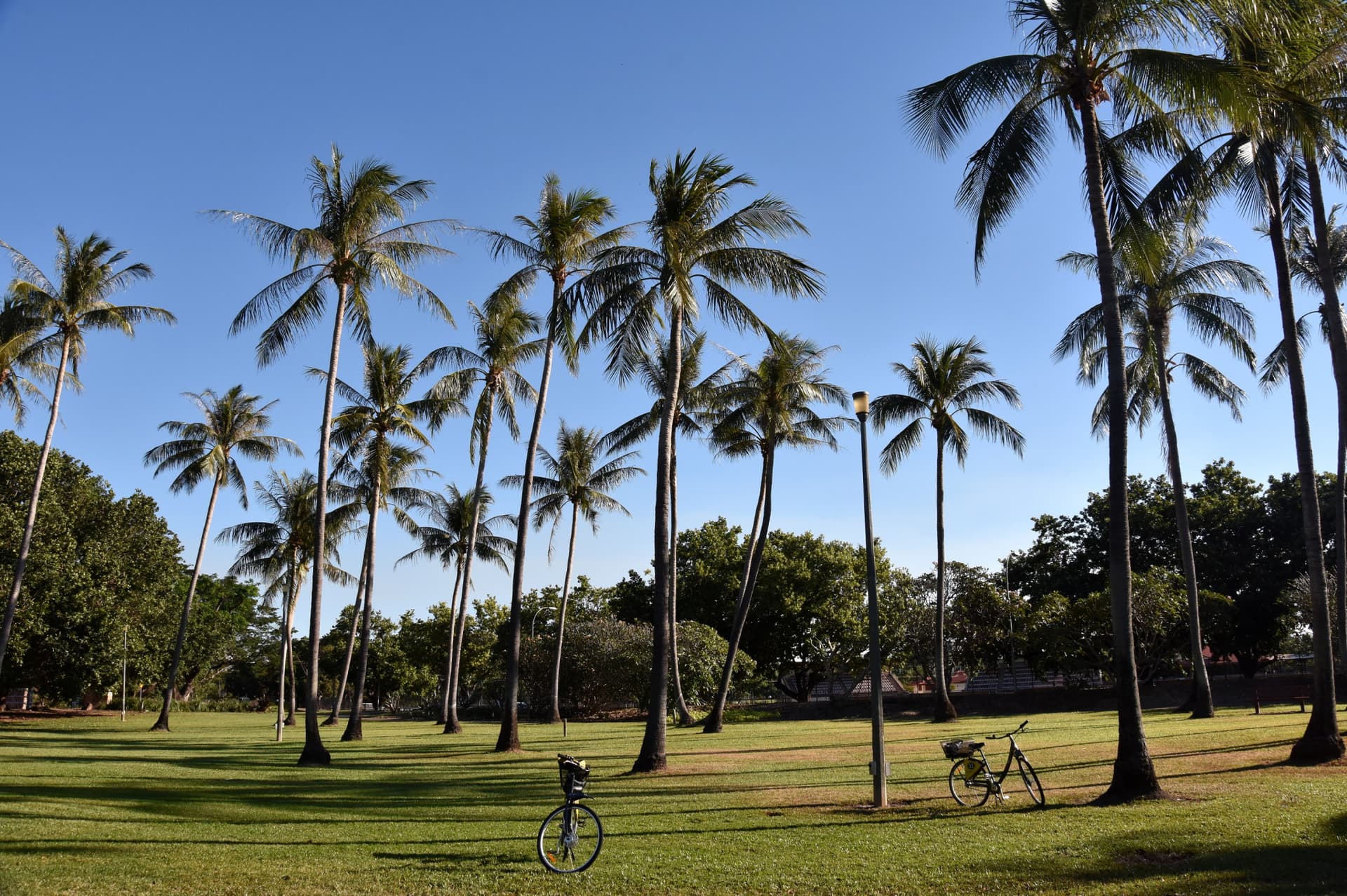 Big Bus Darwin Hop-on Hop-off Bus Tour - تصویر 7