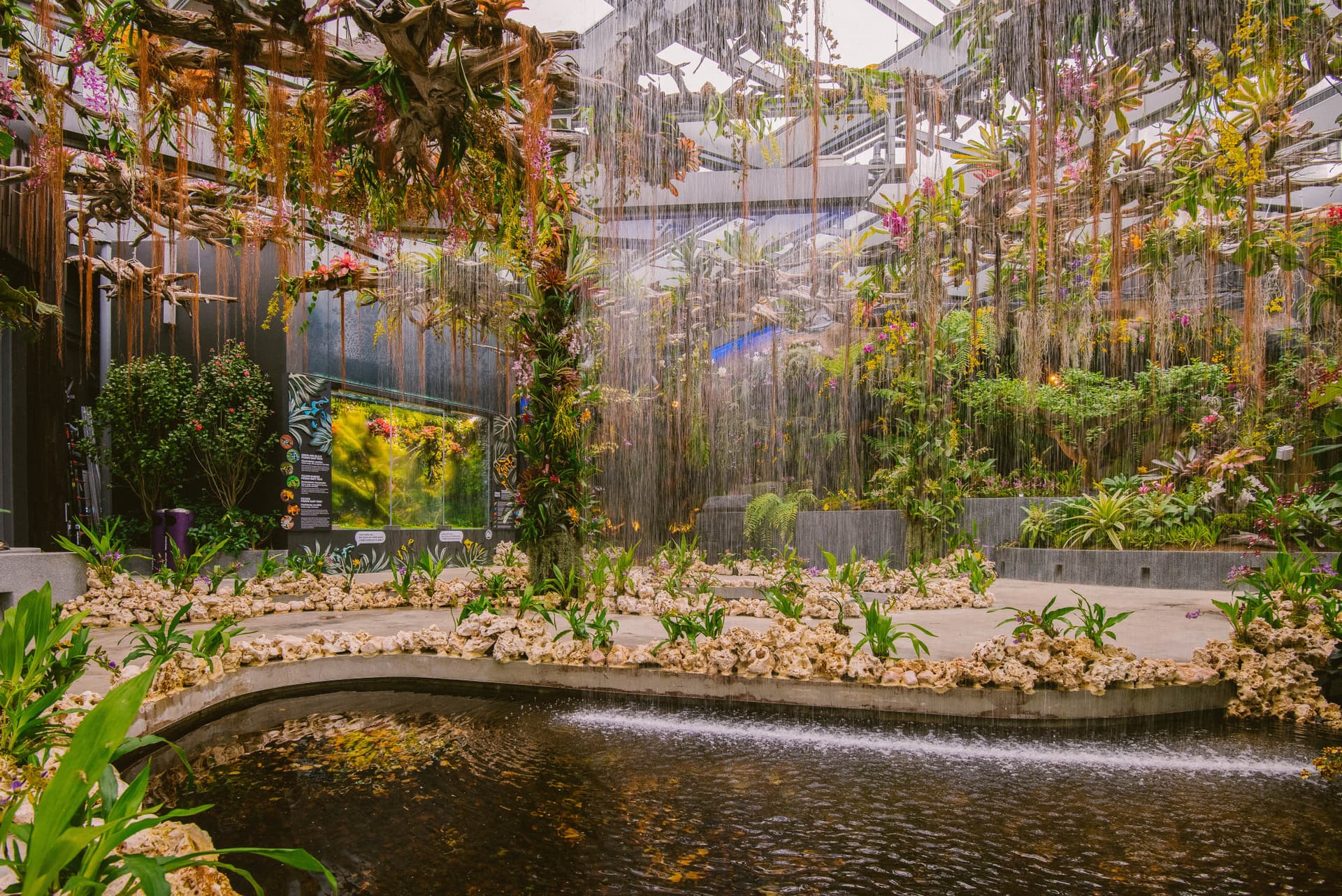 COMBO: Gardens by the Bay - Double Conservatories + Floral Fantasy Ticket - تصویر 12
