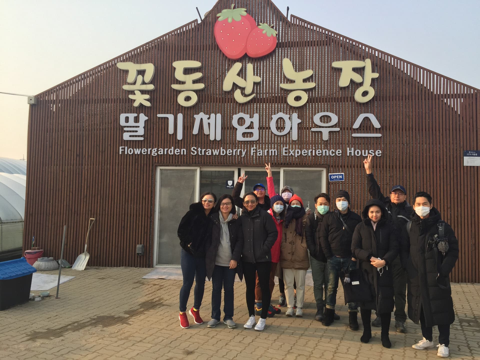 Strawberry Picking, Vivaldi Park, and Eobi Ice Valley Full-Day Tour from Seoul - تصویر 5