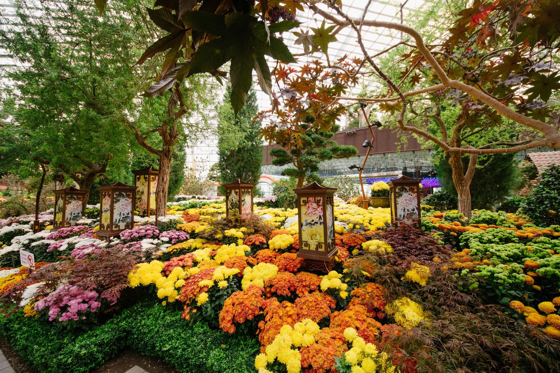 COMBO: Gardens by the Bay - Floral Fantasy + National Orchid Garden - تصویر 9