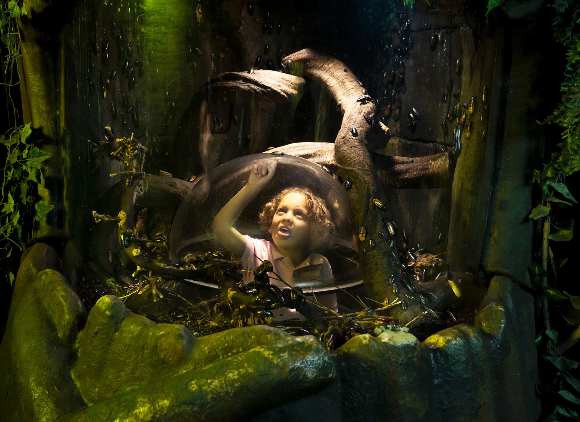 SEA LIFE London Aquarium Ticket - تصویر 14