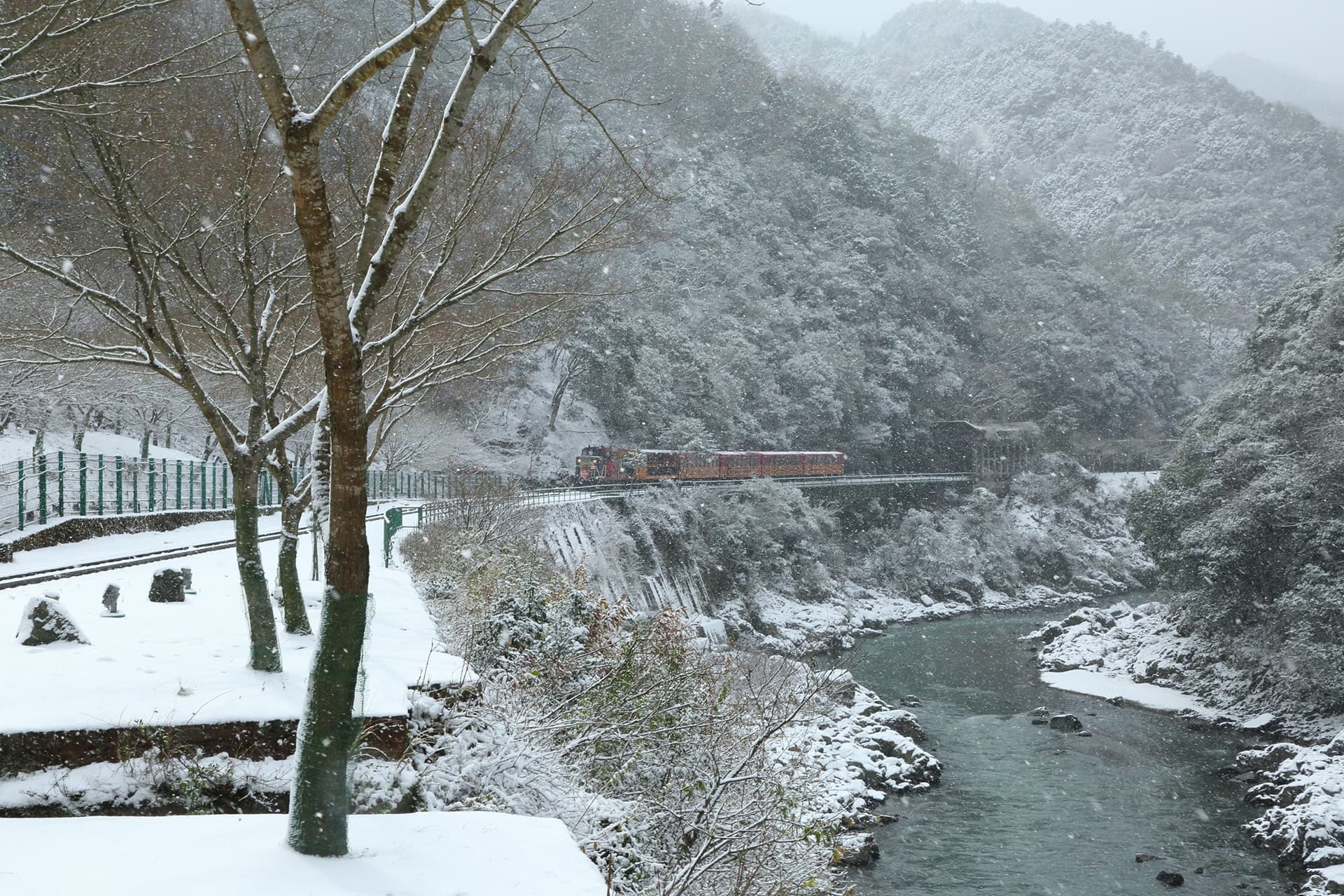 Sagano Romantic Train - تصویر 26