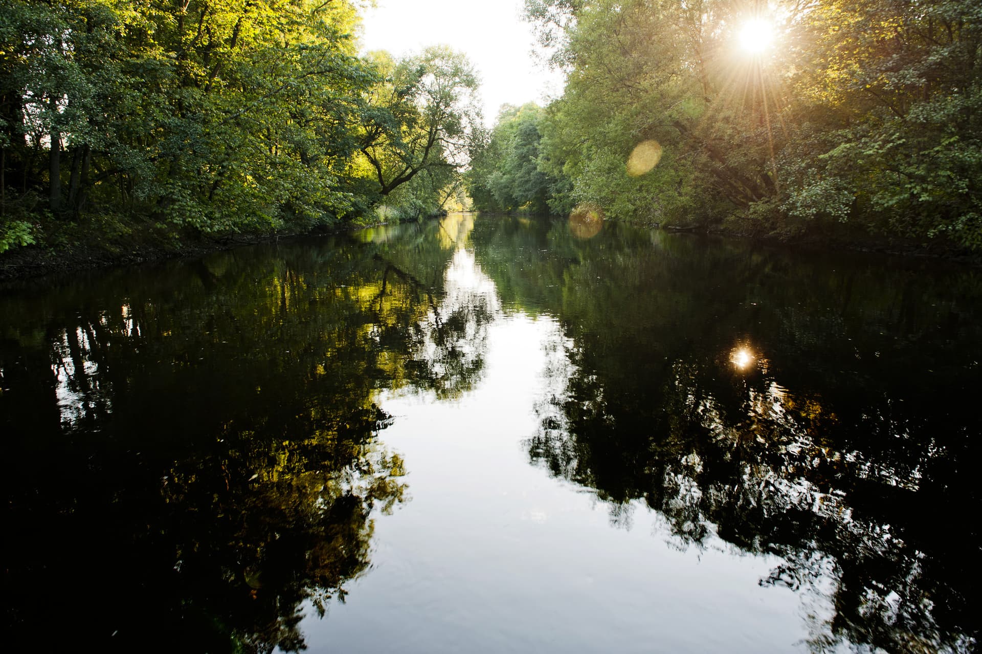 Go City Gothenburg Essentials Pass: 3 Attractions - تصویر 9