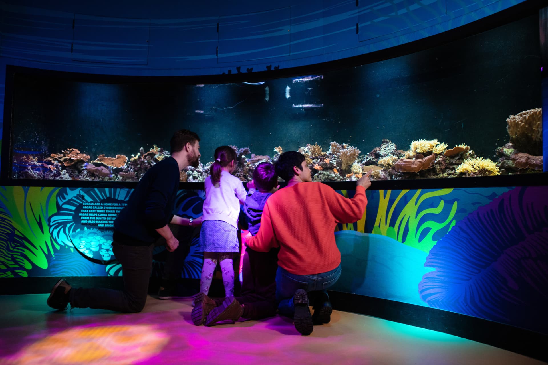 COMBO: London Eye + SEA LIFE London Aquarium Ticket - تصویر 11