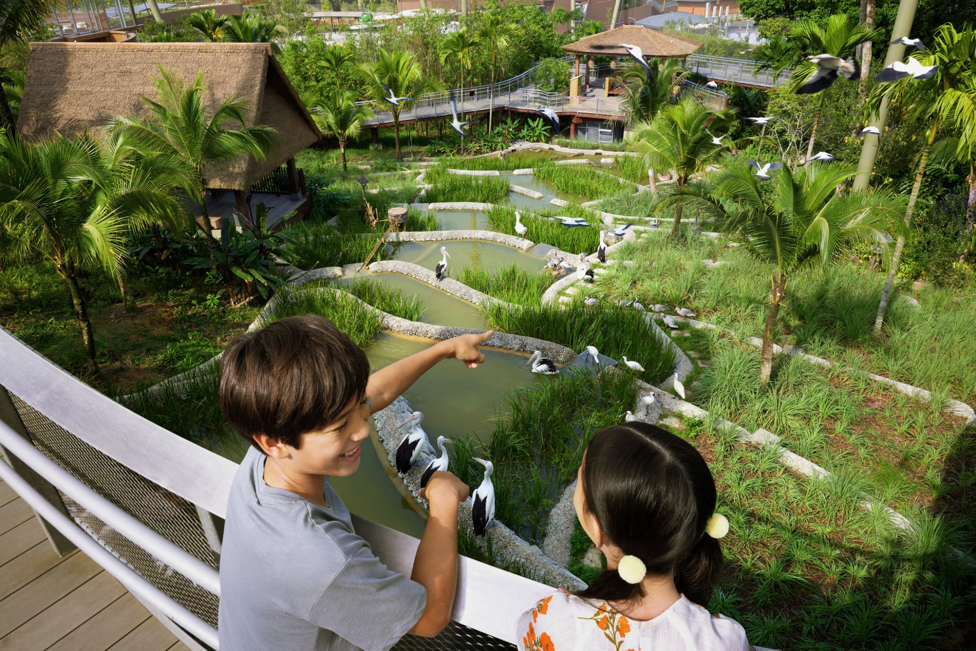 COMBO: River Wonders + Bird Paradise Ticket - تصویر 11