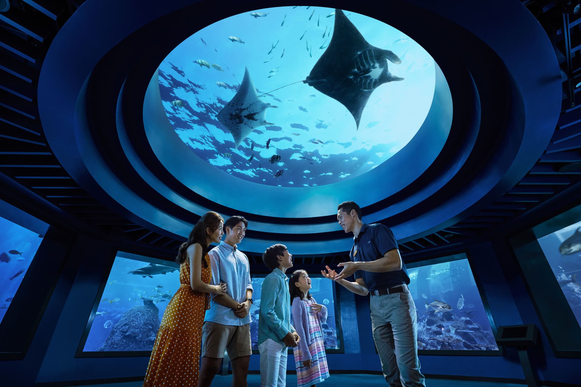 Singapore Oceanarium Ticket - تصویر 8