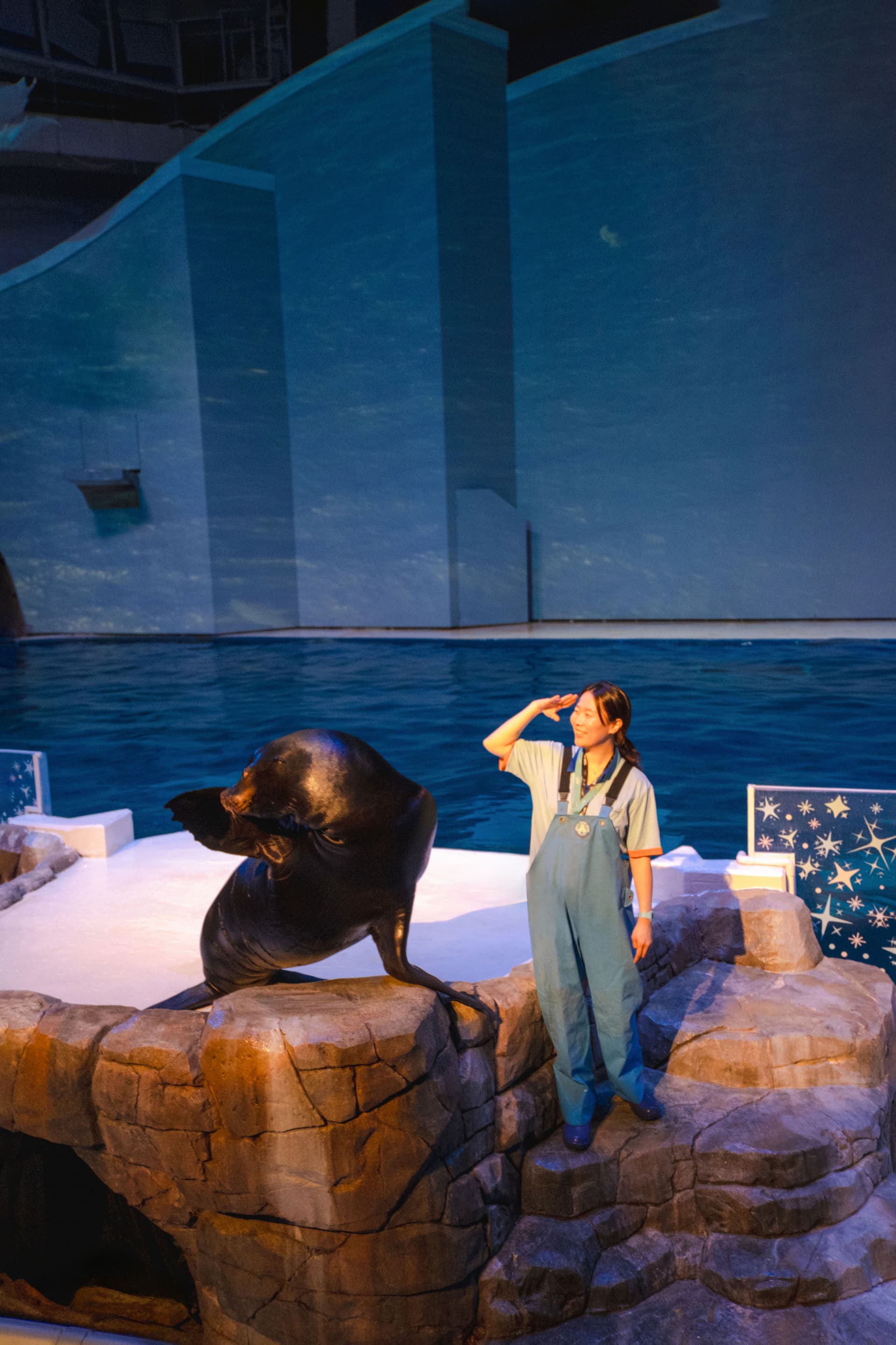 Aqua Planet Jeju Aquarium Ticket - تصویر 10
