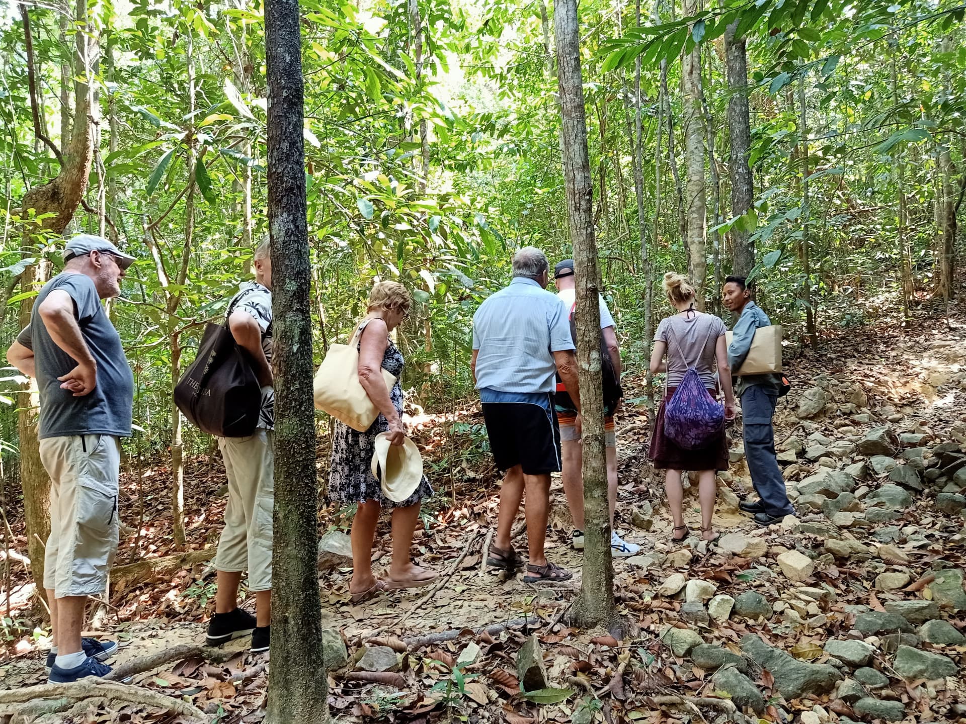 Langkawi Morning Rainforest Walking Tour - تصویر 2