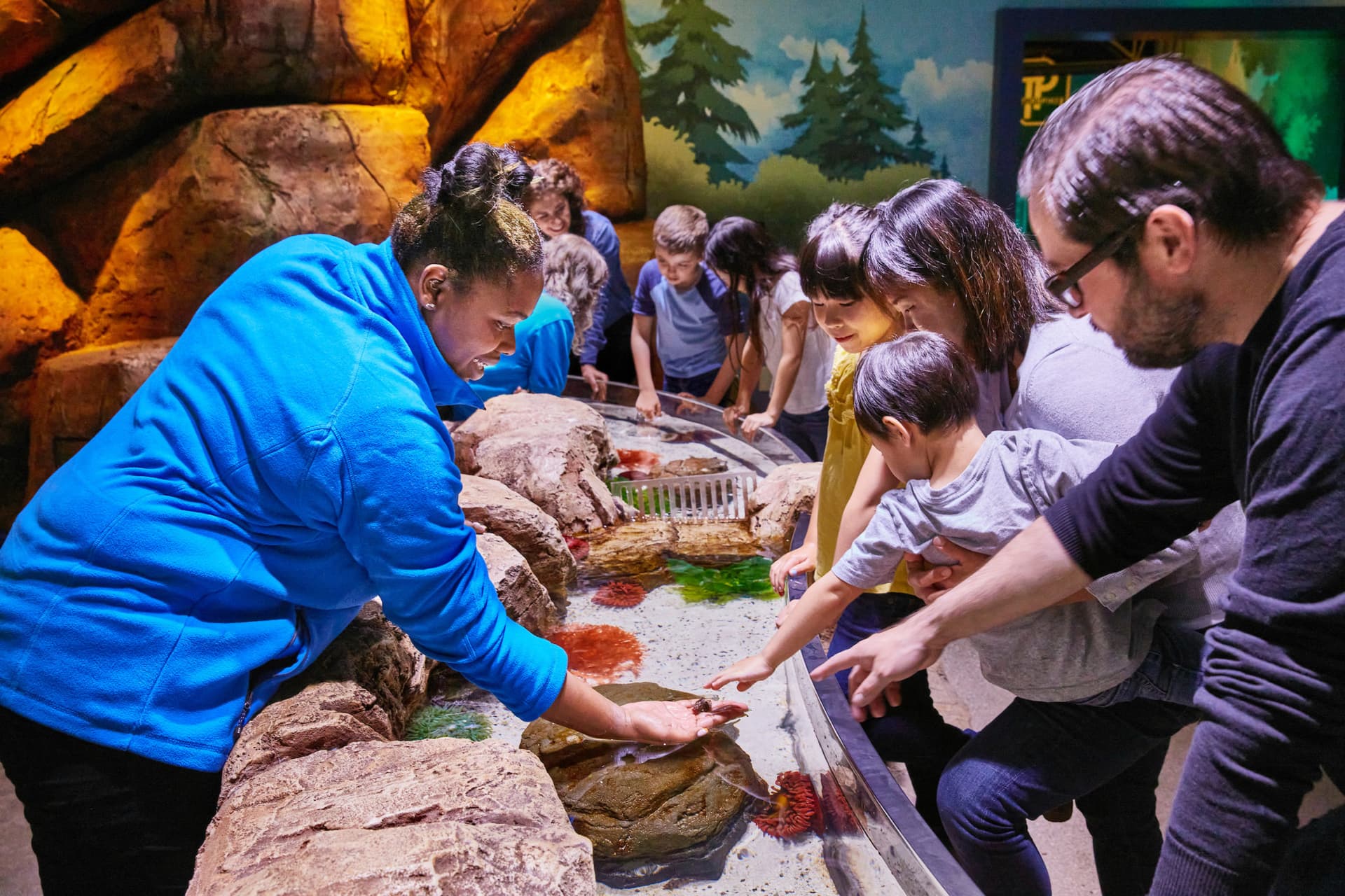 SEA LIFE New Jersey Aquarium Ticket - تصویر 3