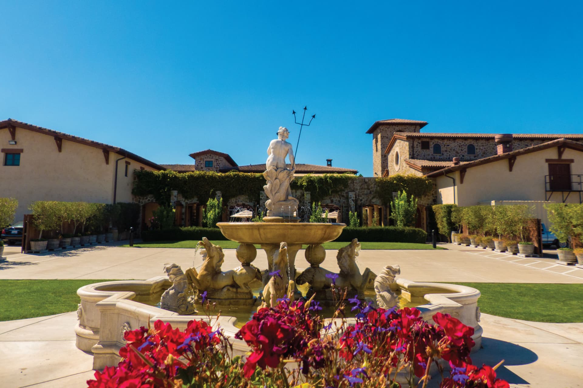 San Francisco Half-Day Wine Country Tour - تصویر 2