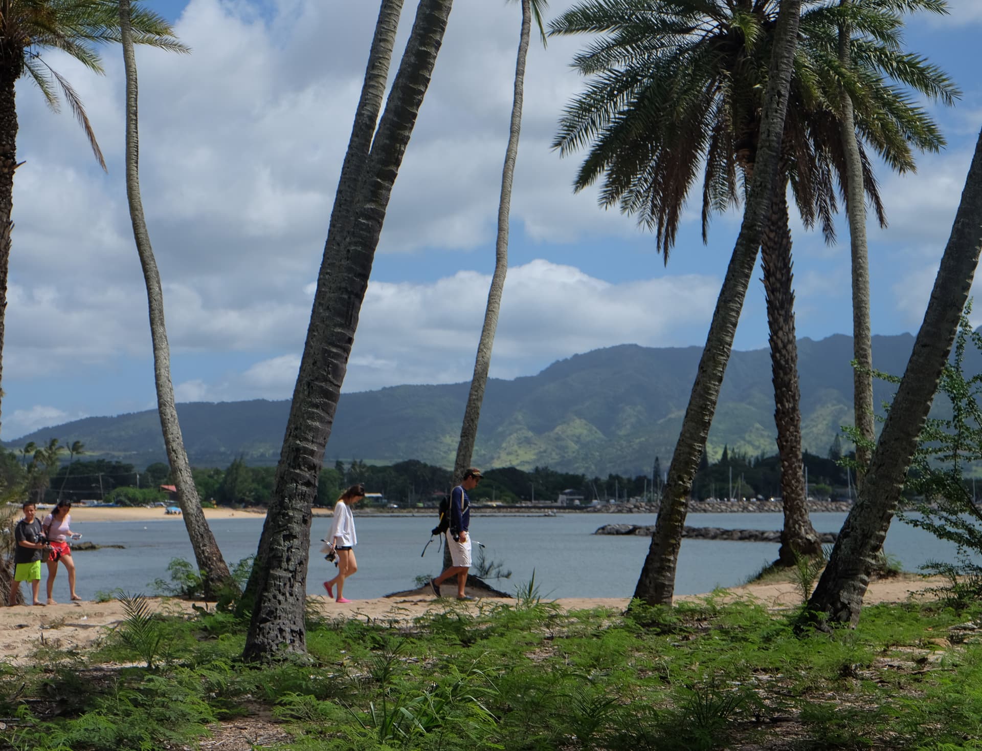 Go City Oahu All-Inclusive Pass: Save up to 50% on Attractions - تصویر 47