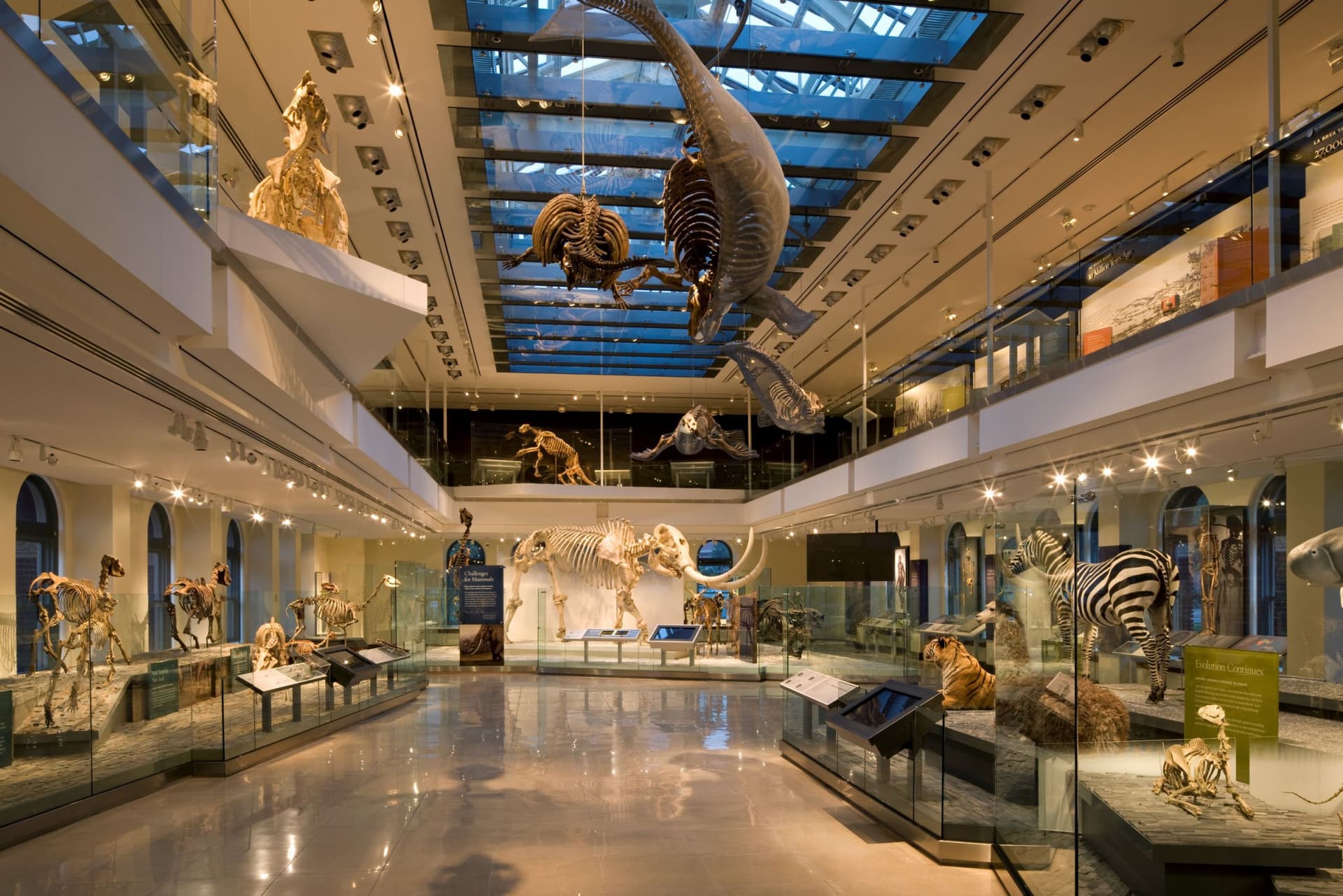 Go City Las Vegas Explorer Pass: Save up to 50% on Attractions - تصویر 7