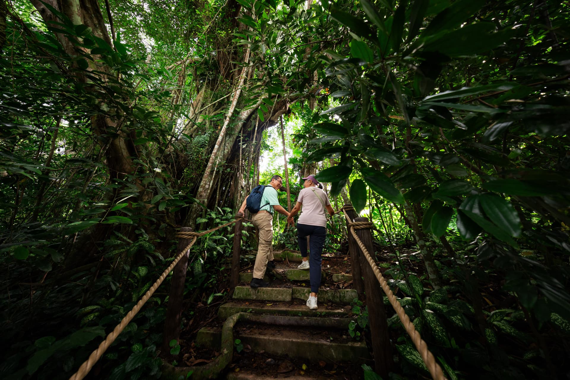 Mandai Destination Pass: Up to 2 Attractions in 1 Day - تصویر 7