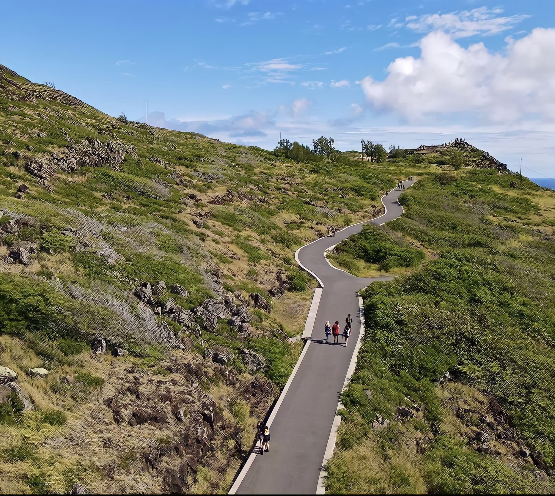 Go City Oahu Explorer Pass: Save up to 50% on Attractions - تصویر 47