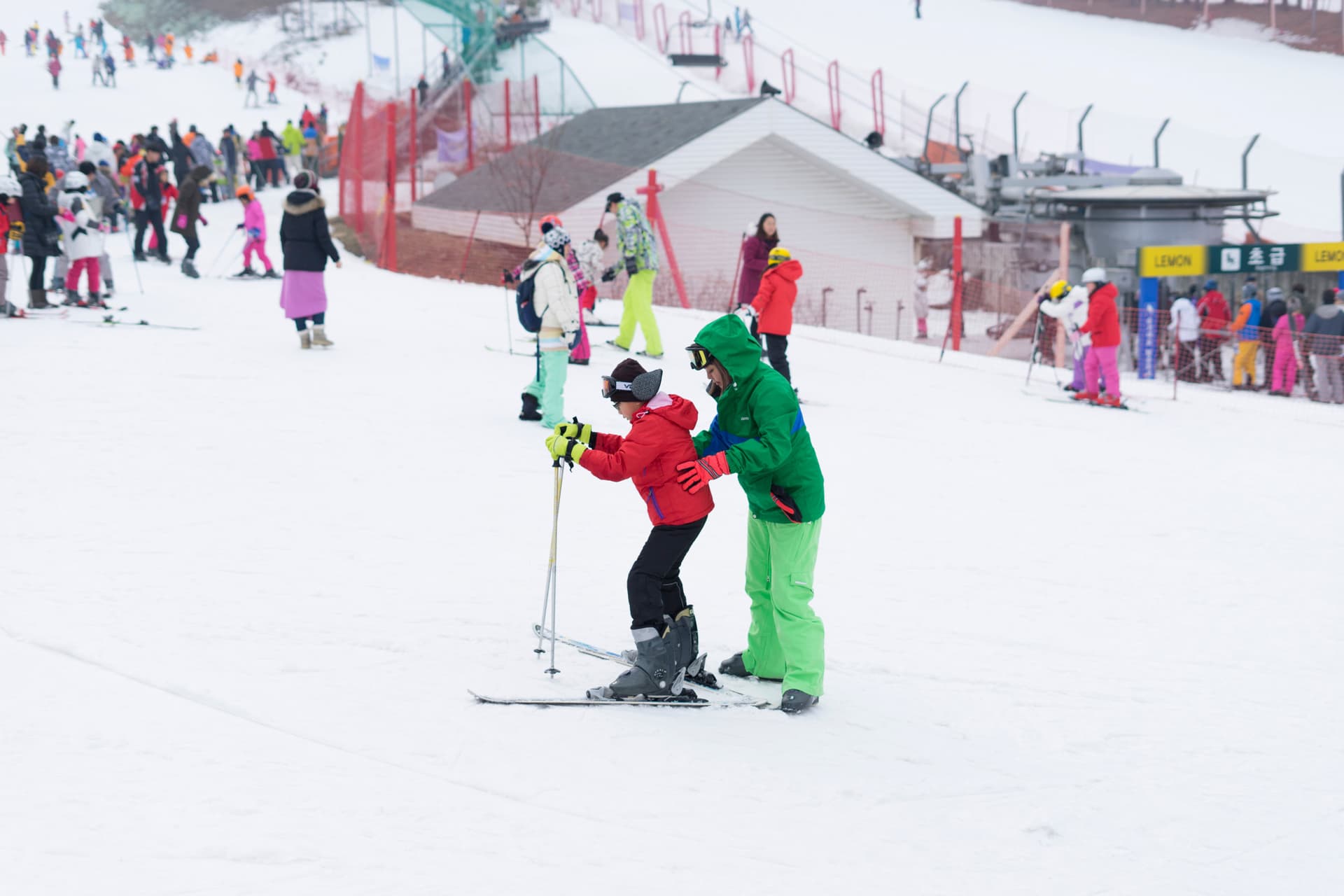 Jisan Forest Ski Resort Full-Day Tour from Seoul - تصویر 3