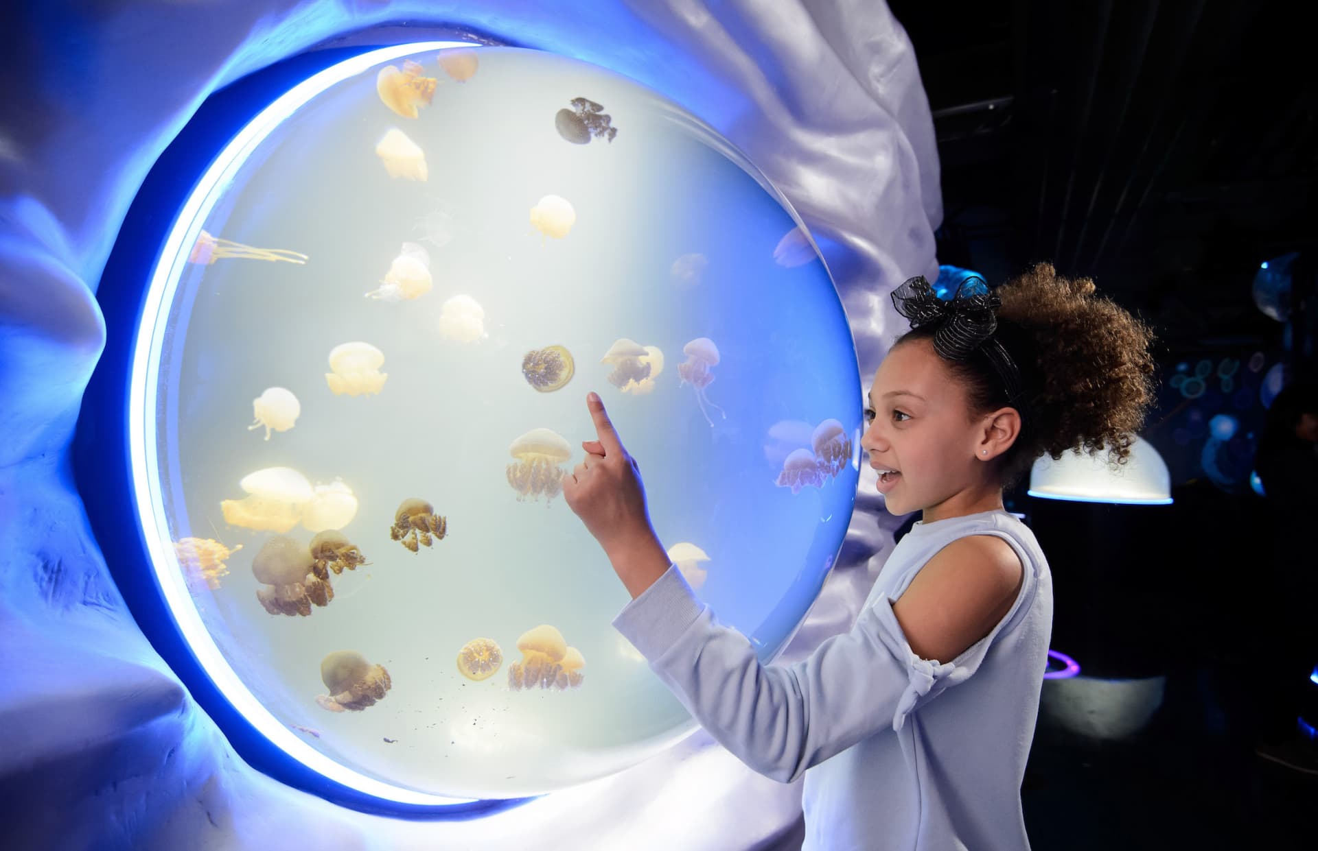 SEA LIFE London Aquarium Ticket - تصویر 7