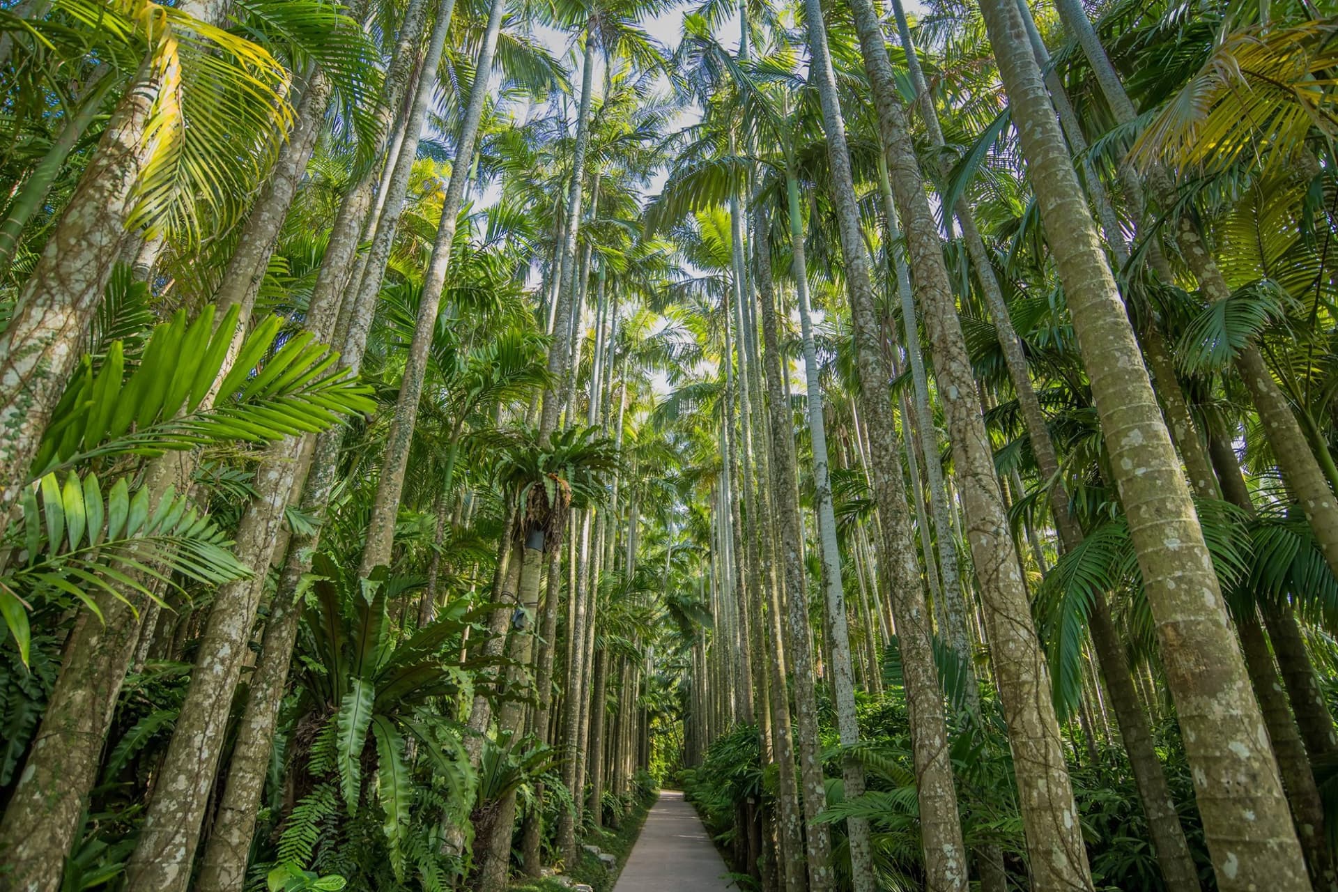 Okinawa Southeast Botanical Gardens - تصویر 4