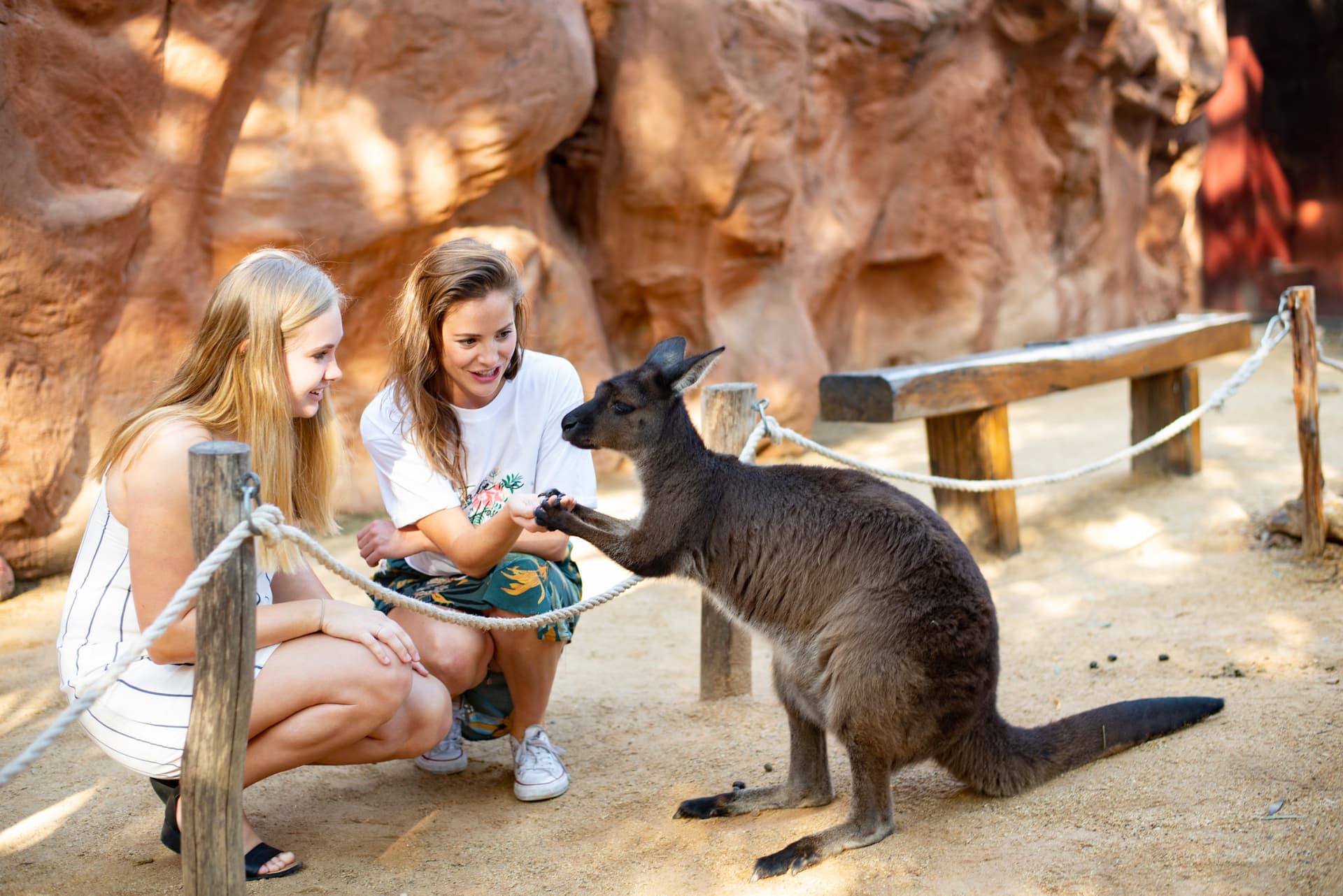 Sydney Multi-Attraction Pass - تصویر 4