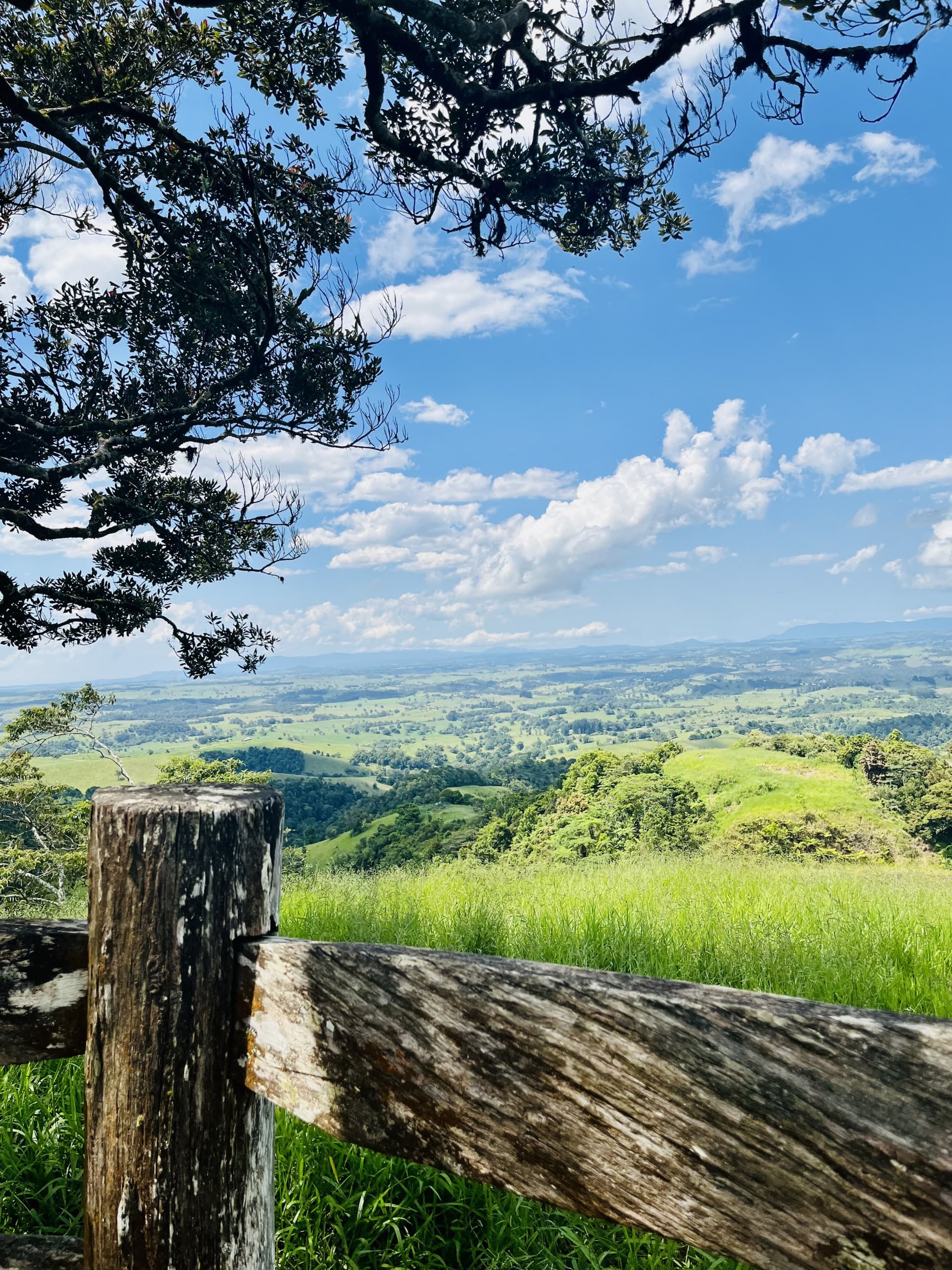Australian Outback Food and Wine Tasting Tour from Port Douglas - تصویر 9