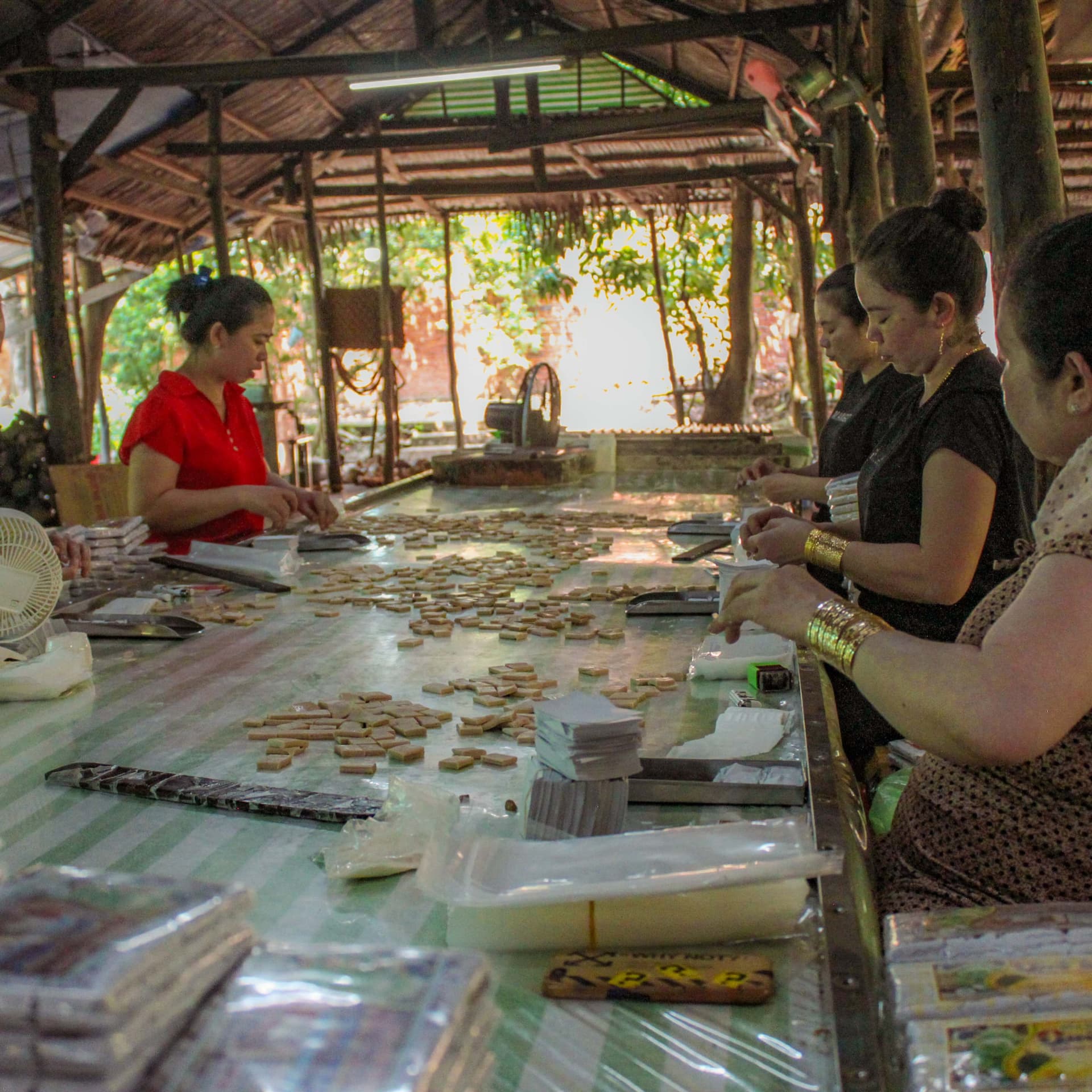 Cu Chi Tunnels and Mekong Delta Full-Day Tour from Ho Chi Minh - تصویر 21