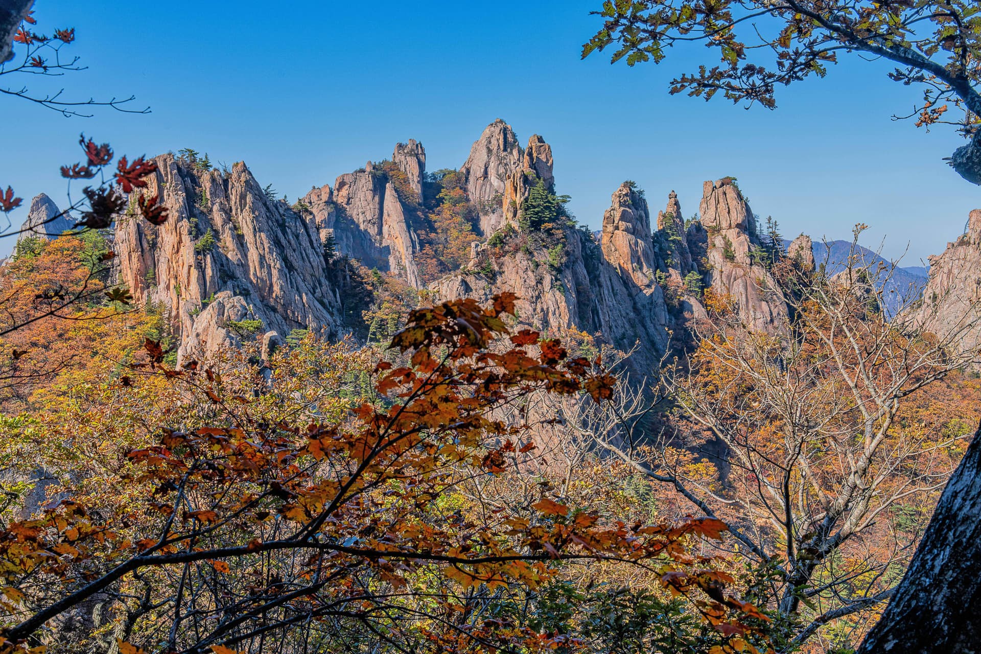 Mt. Seorak National Park Autumn Foliage One Day Tour from Seoul - تصویر 9