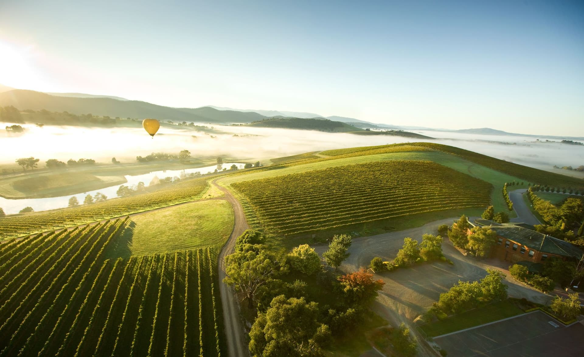 Sunrise Hot Air Balloon Flight over Yarra Valley with Photos - تصویر 4