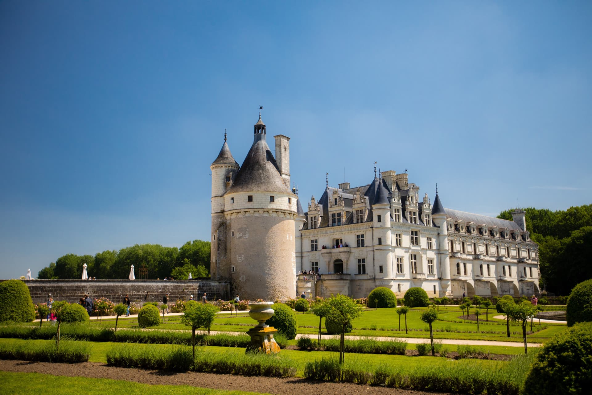 Loire Valley Tour from Paris: Chambord, Chenonceau, and Cheverny Castles - تصویر 14