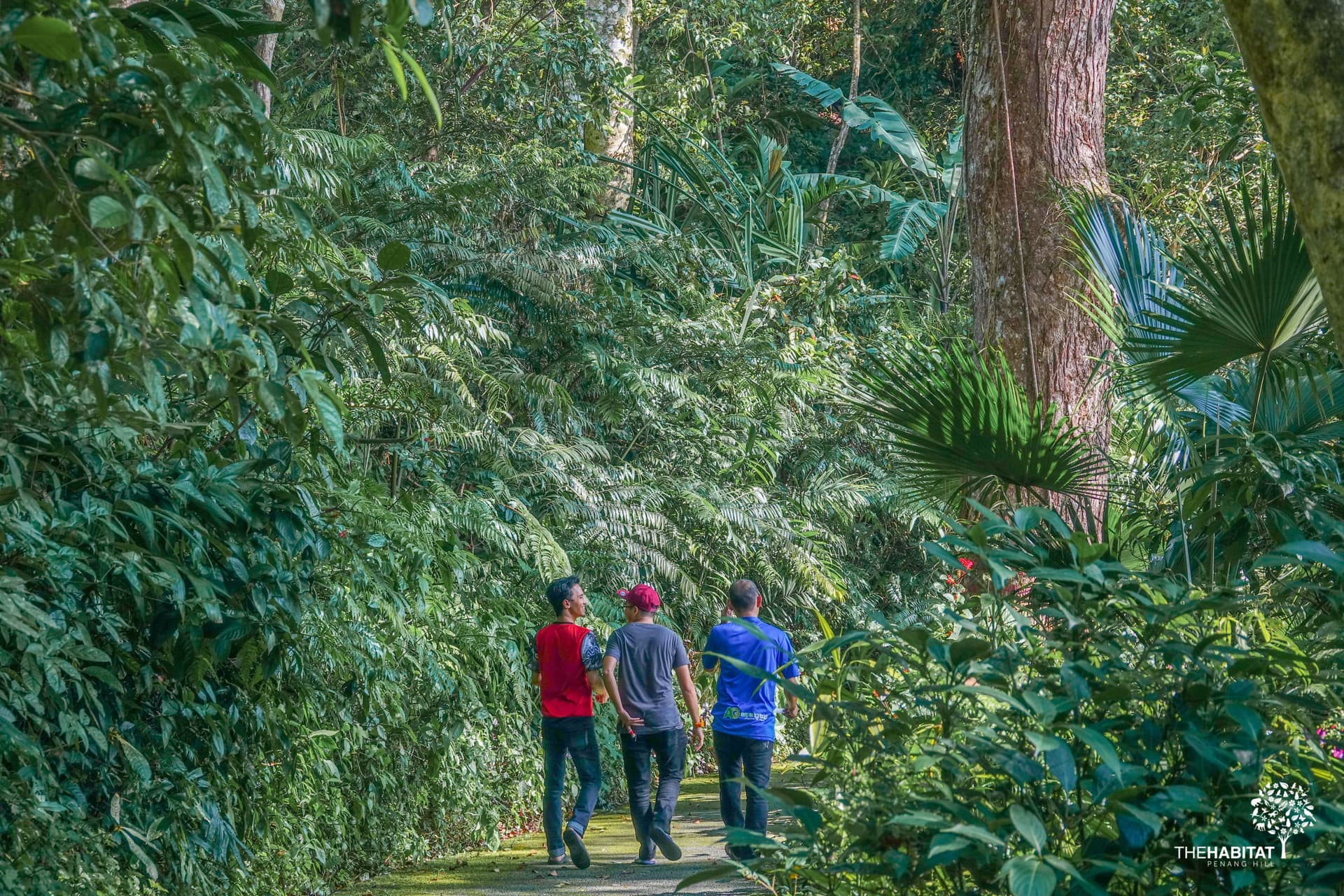 The Habitat Penang Hill Ticket - تصویر 13