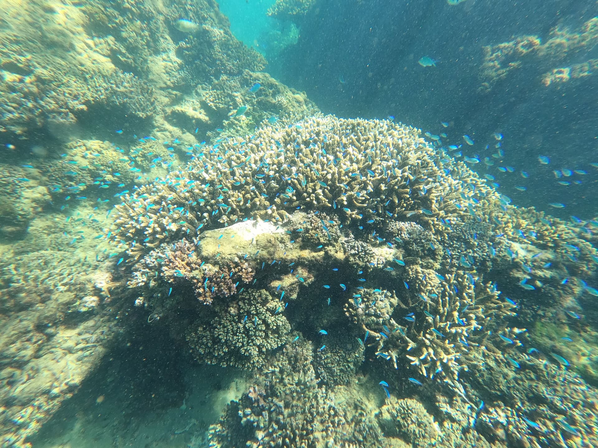 Moreton Island 1-Day Adventure Tour with Kayaking and Sandboarding - تصویر 14