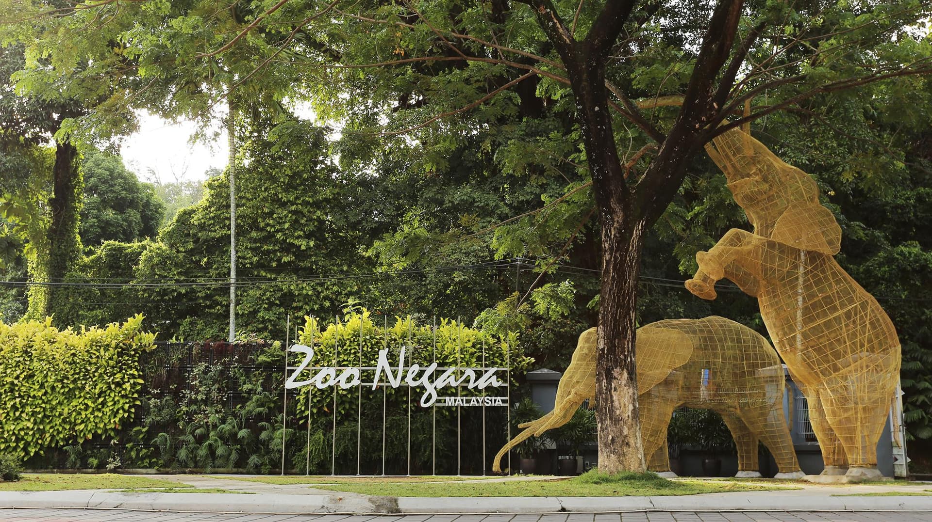 Zoo Negara Malaysia & Panda Conservation Centre Ticket - تصویر 22