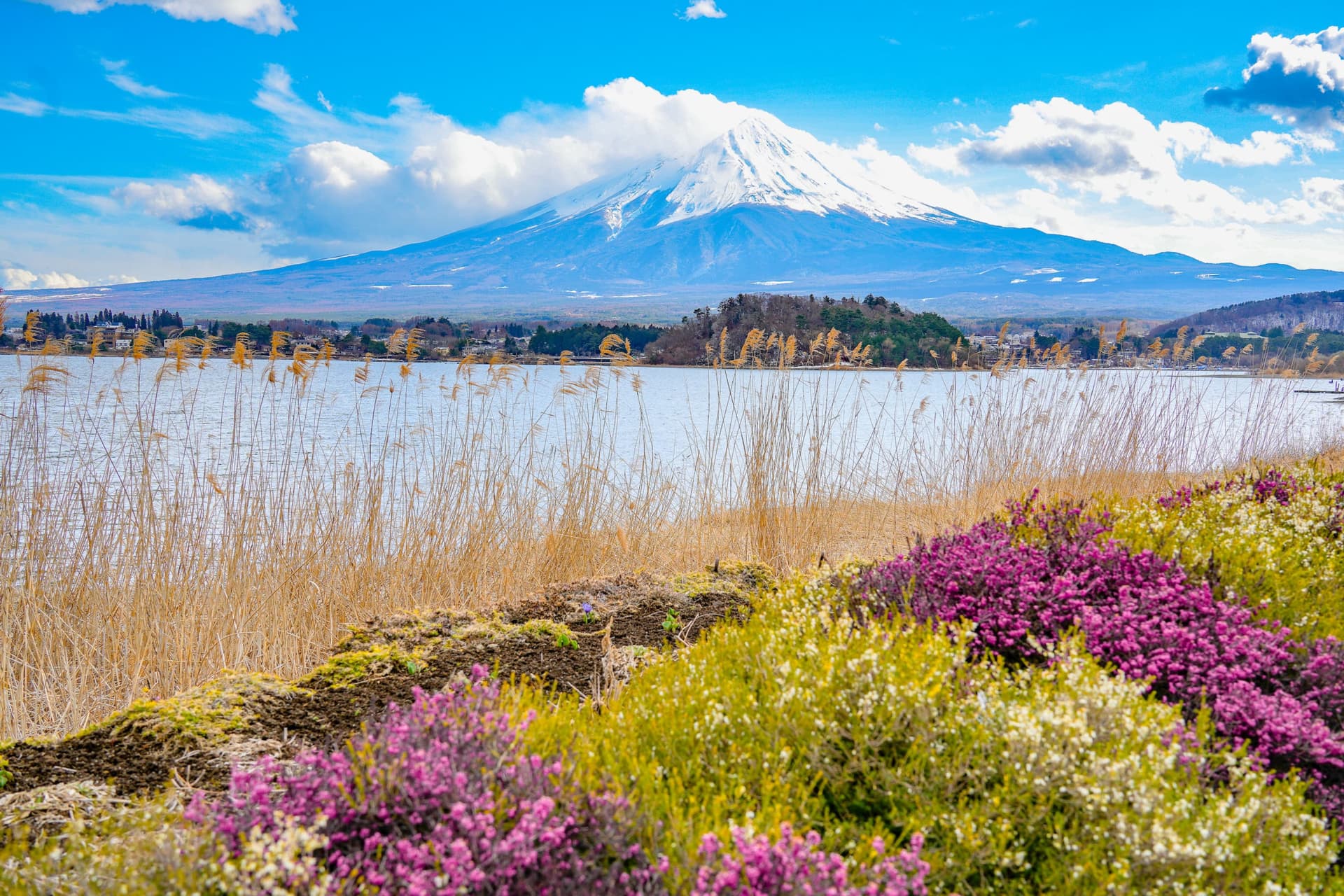 Mount Fuji, Kamakura, Lake Ashi, and Big Buddha Full-Day Tour from Tokyo - تصویر اصلی