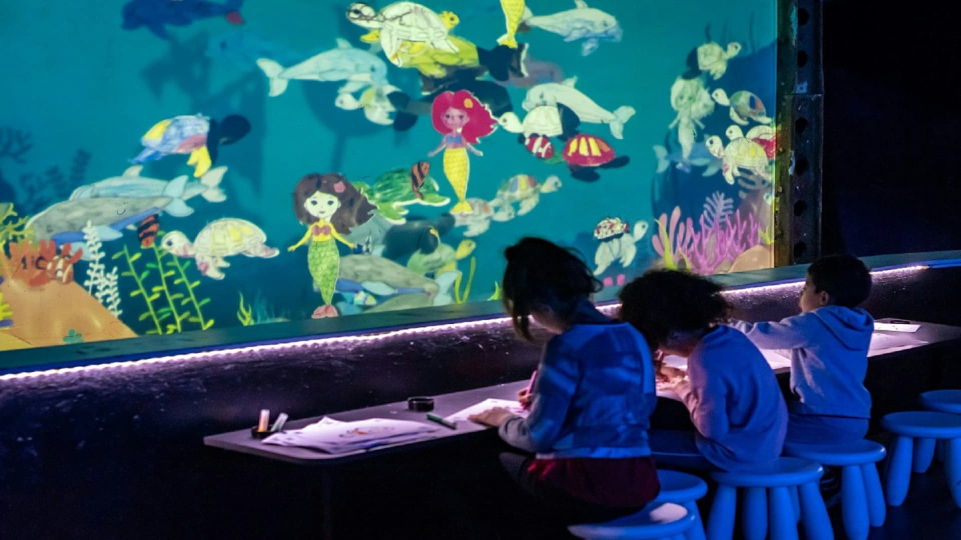 Seaquarium Le Grau-du-Roi Ticket - تصویر 5