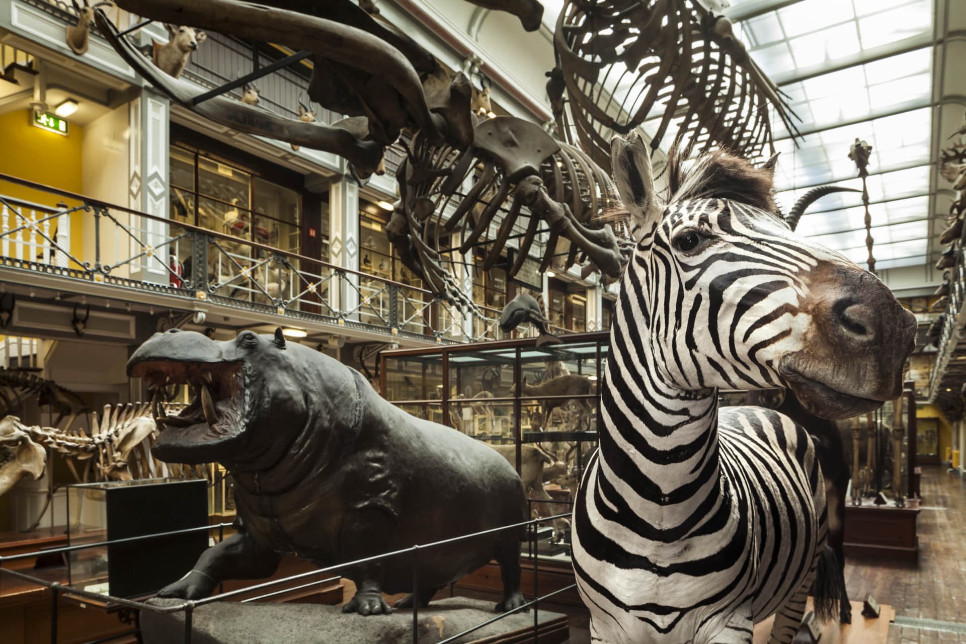 Go City Dublin All-Inclusive Pass: Save up to 50% on Attractions - تصویر 37