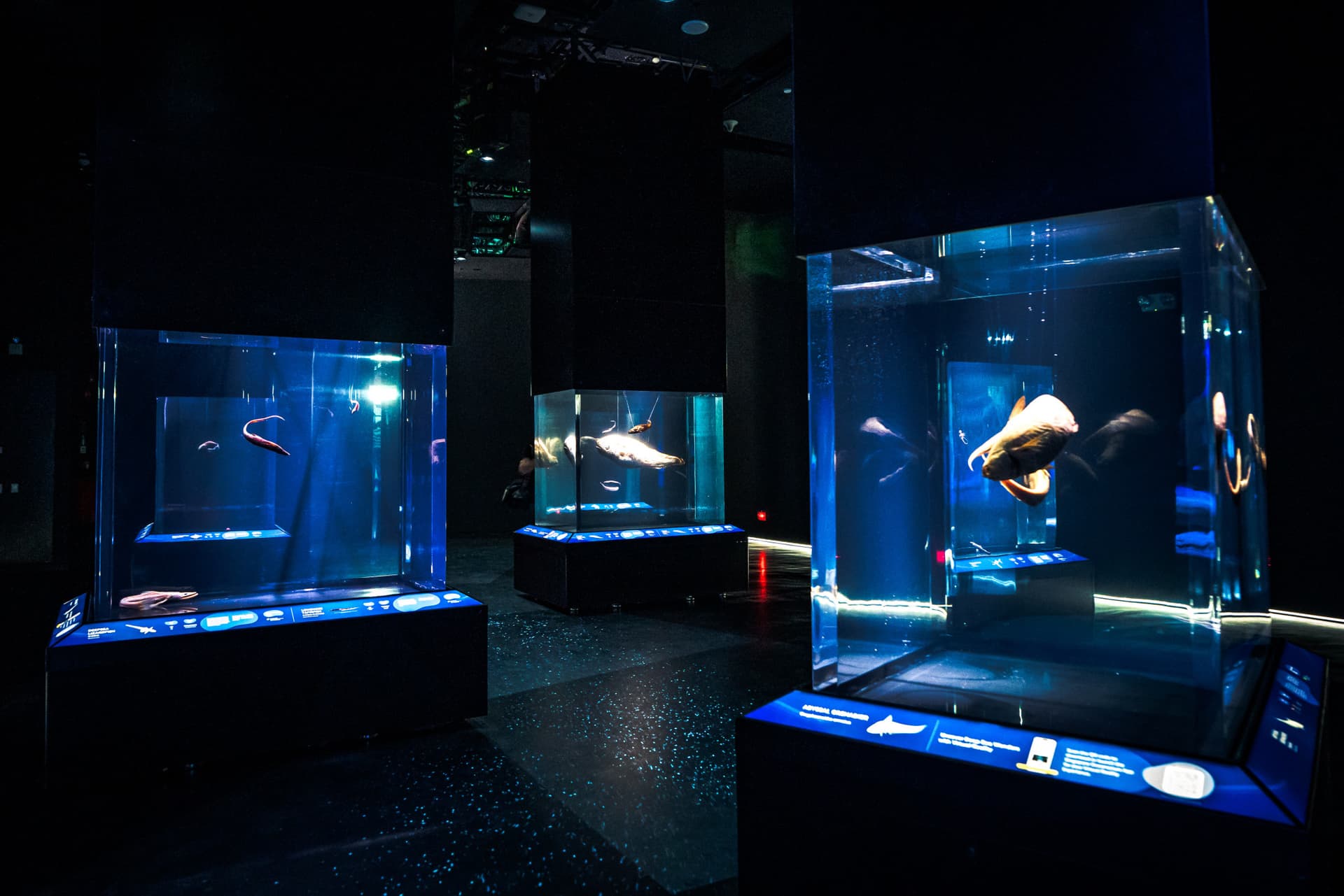 Singapore Oceanarium Ticket - تصویر 4