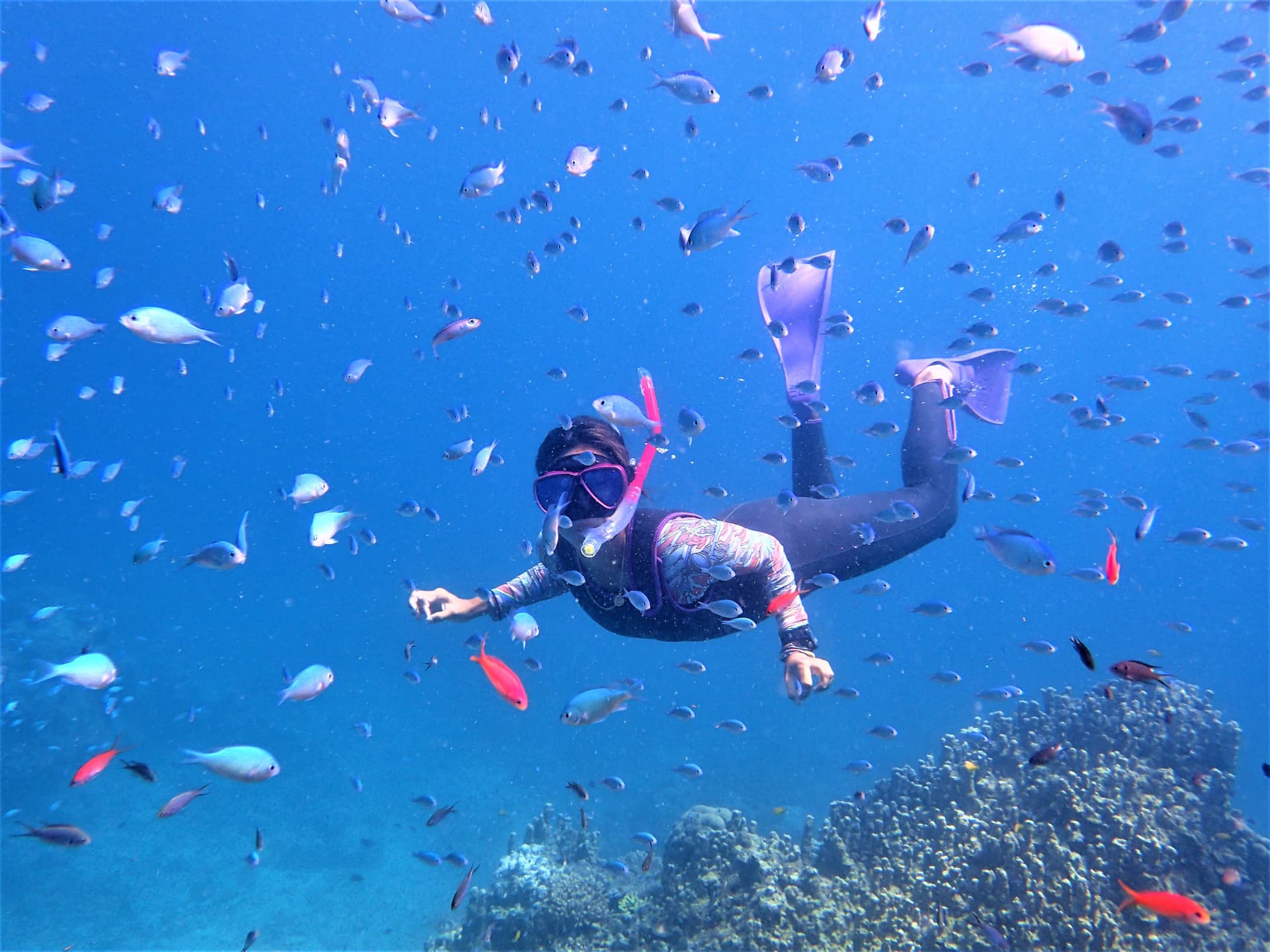Half-Day Morning Snorkeling Tour with Phantom Island Visit - تصویر 4