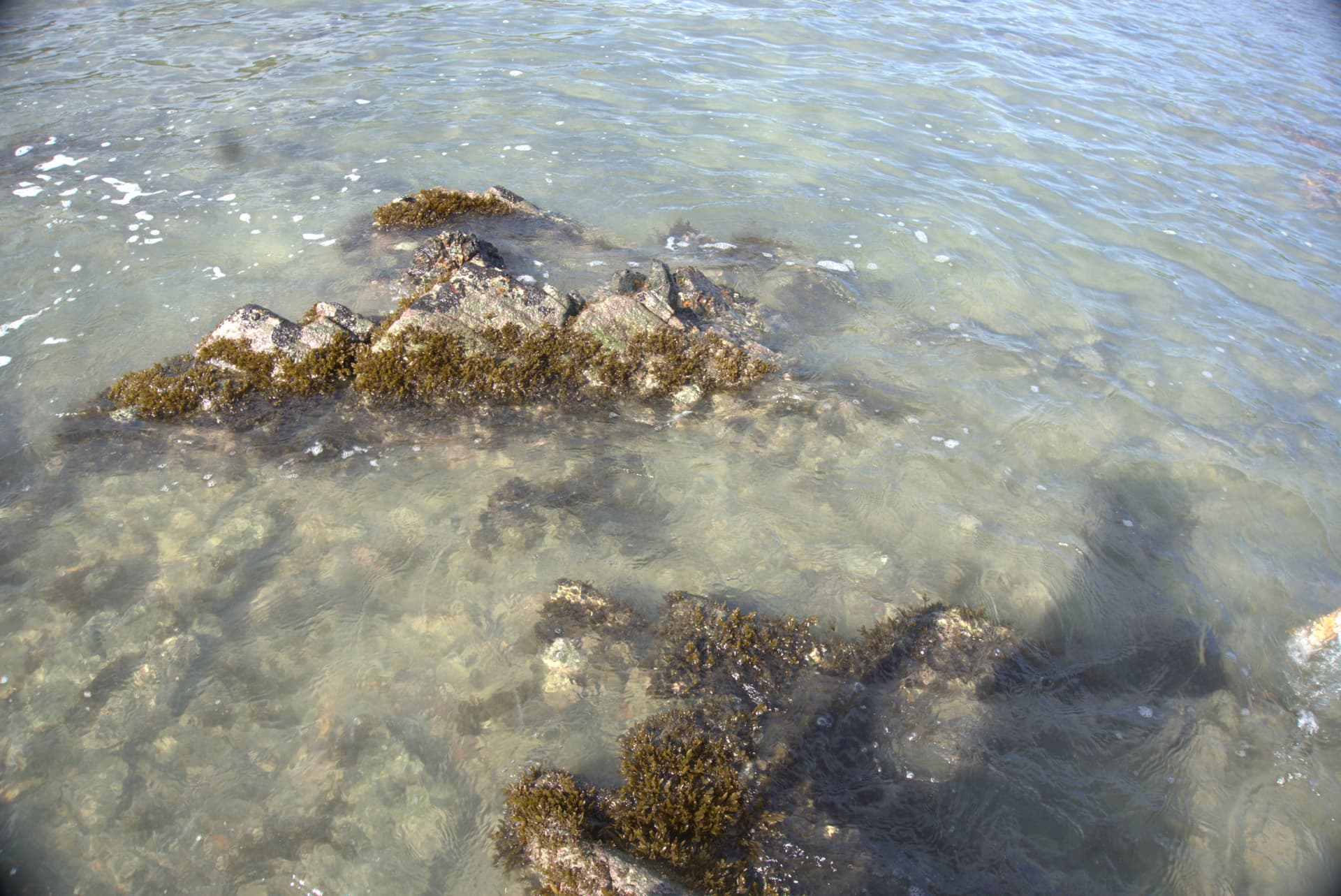 Desaru Beach and Tide Pool Walk - تصویر 40