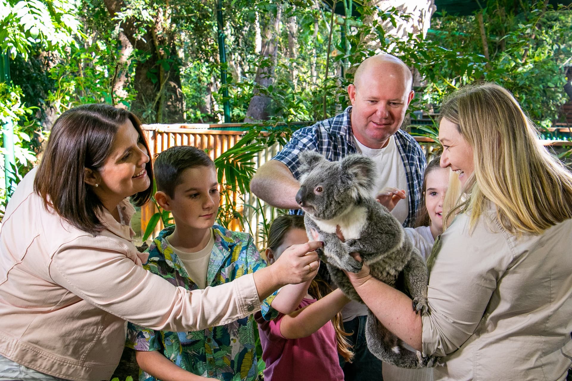 Currumbin Wildlife Sanctuary Gold Coast Ticket - تصویر 11