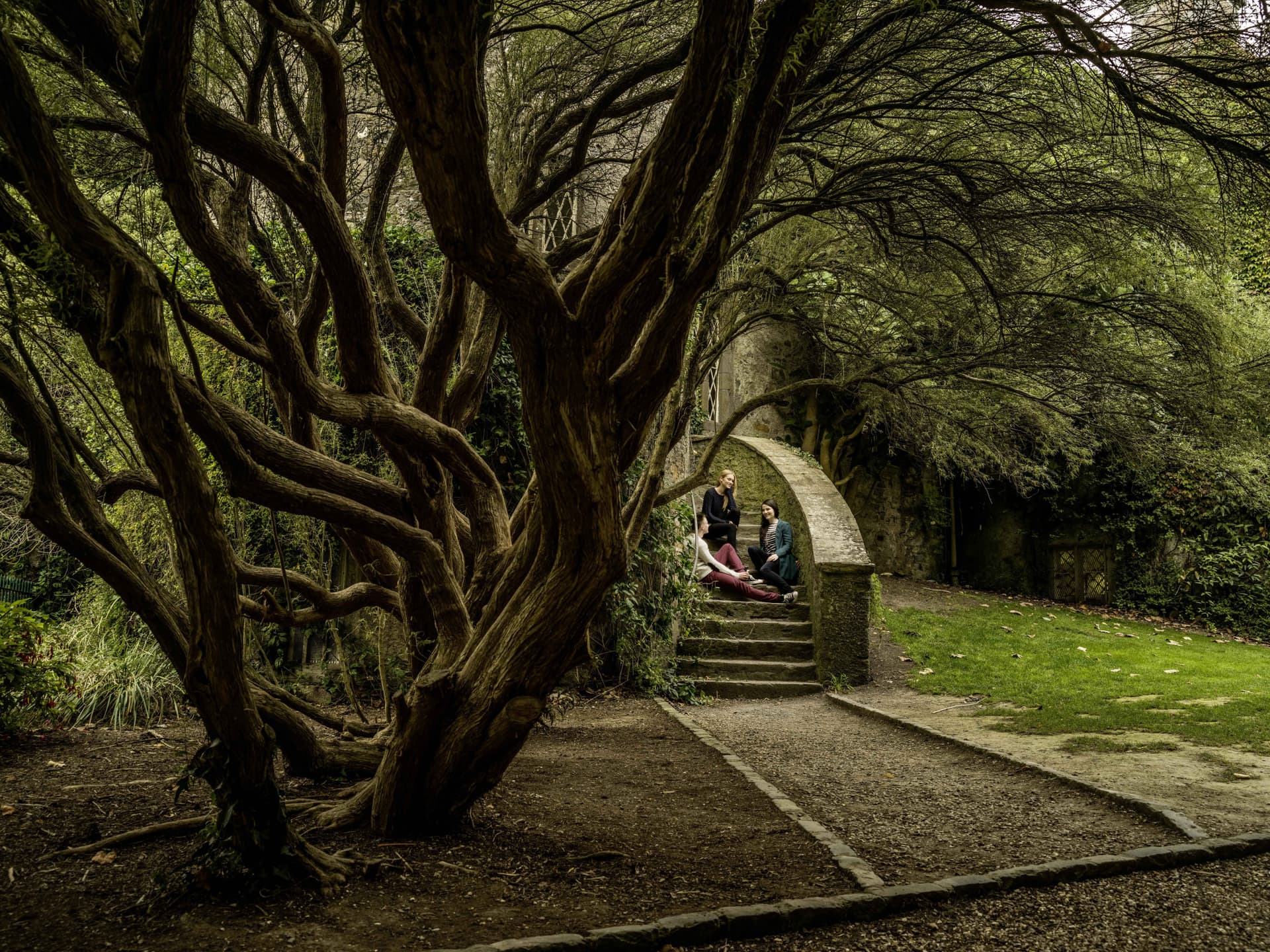 Go City Dublin All-Inclusive Pass: Save up to 50% on Attractions - تصویر 25